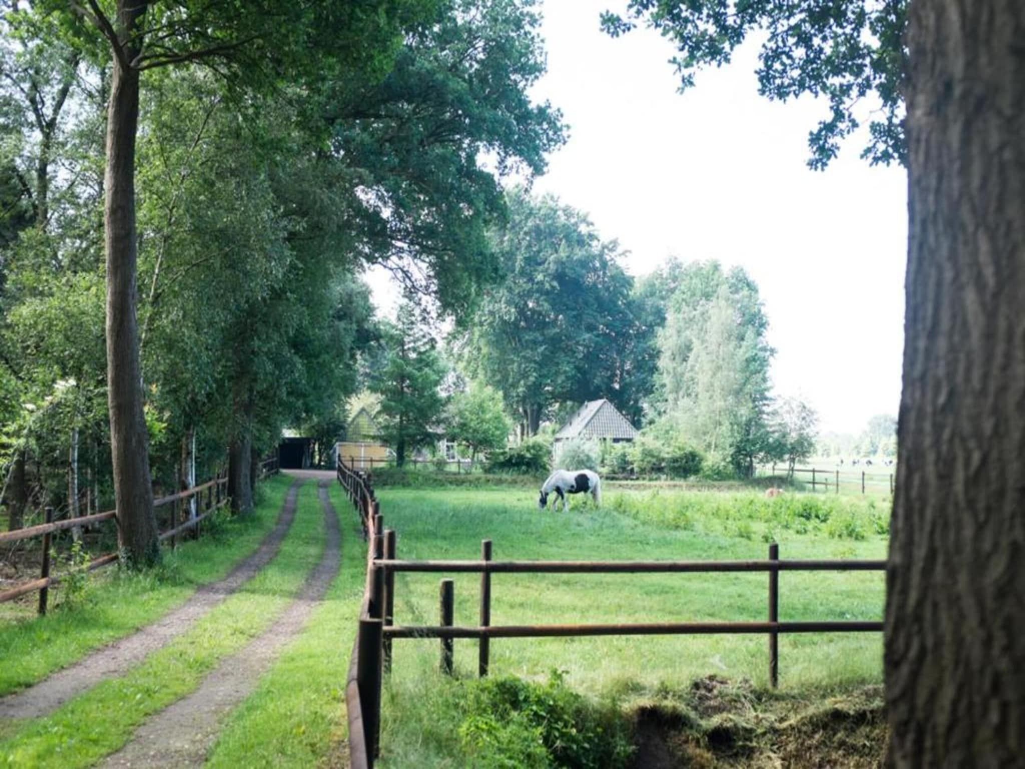 De tuin van Buitenplaats Gerner 8 in Dalfsen