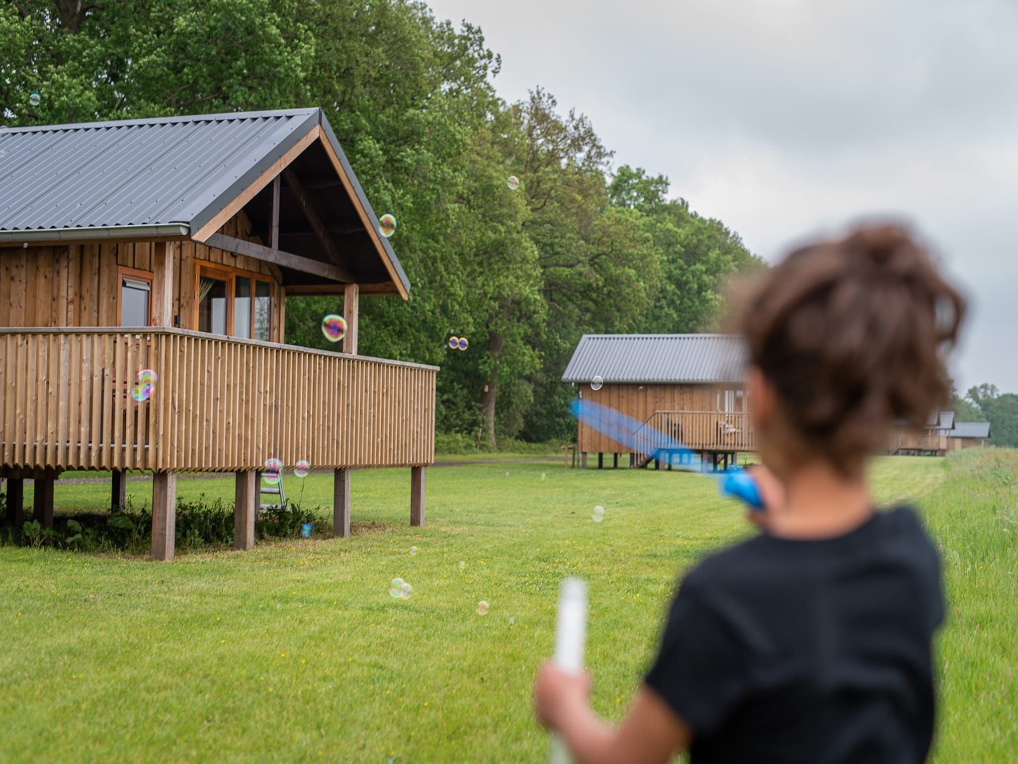 Sfeerbeeld van Acker Lodges 1 in Ruinerwold