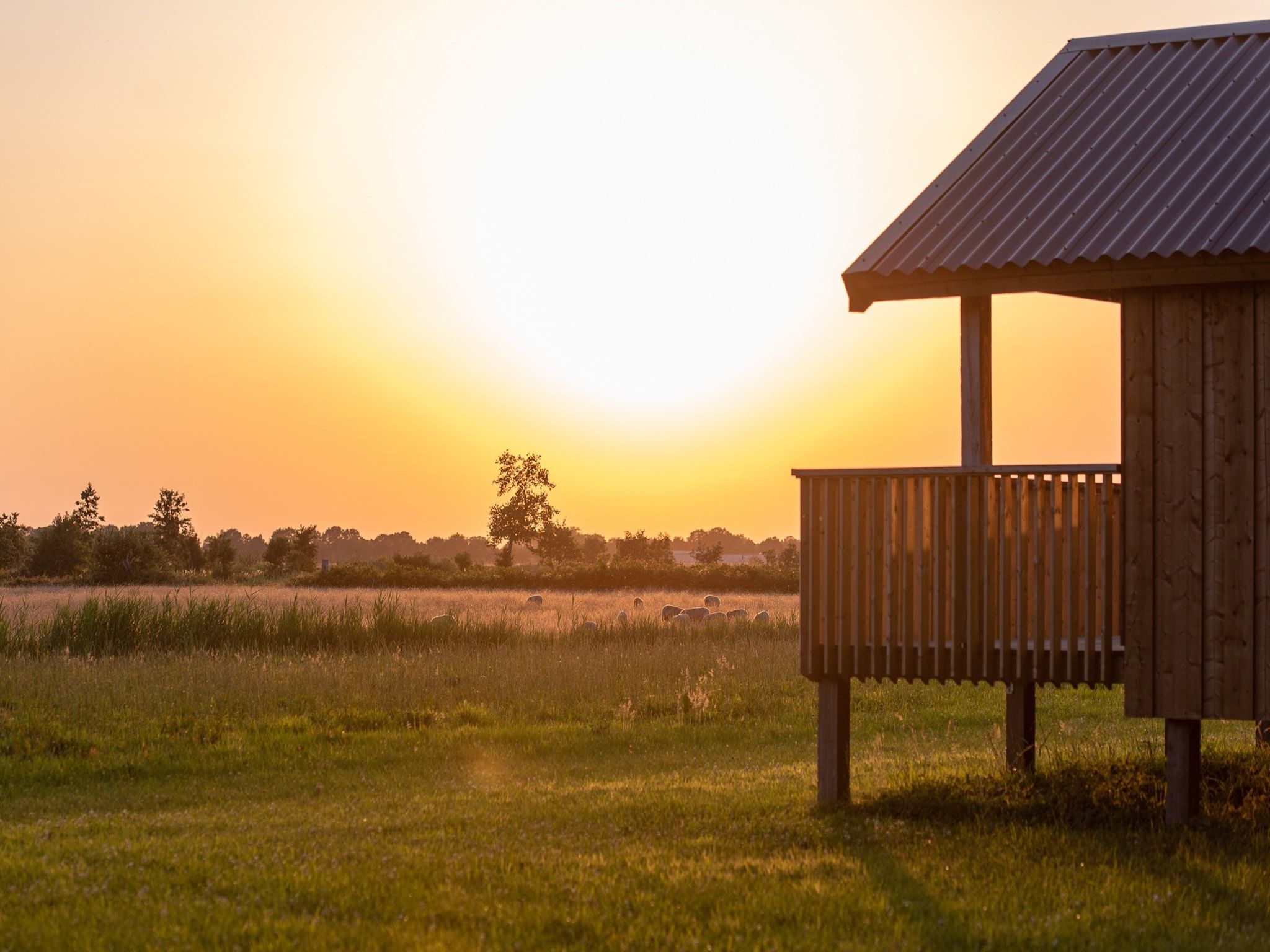 De buitenkant van Acker Lodges 1 in Ruinerwold