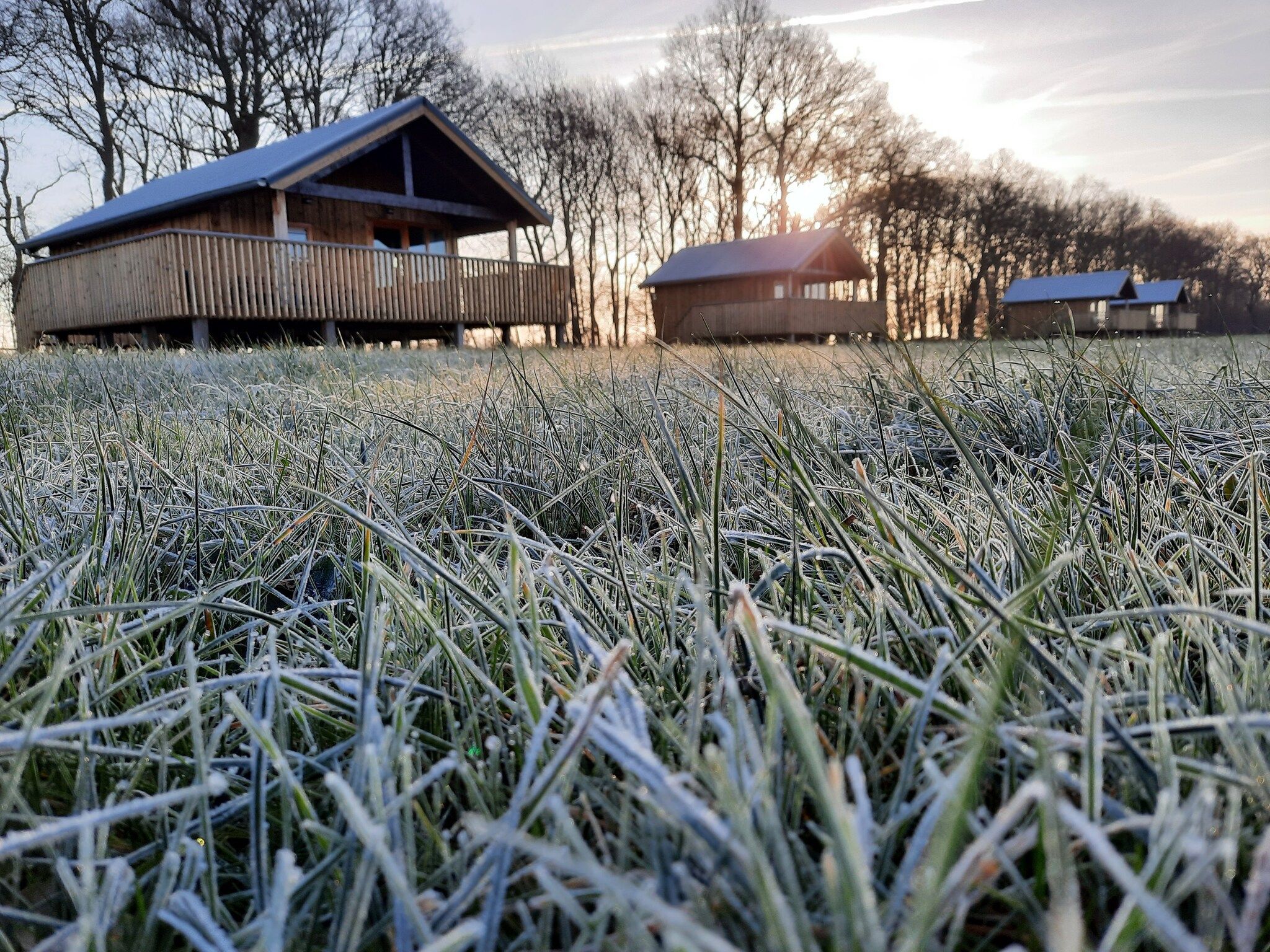 Het uitzicht vanaf Acker Lodges 1 in Ruinerwold