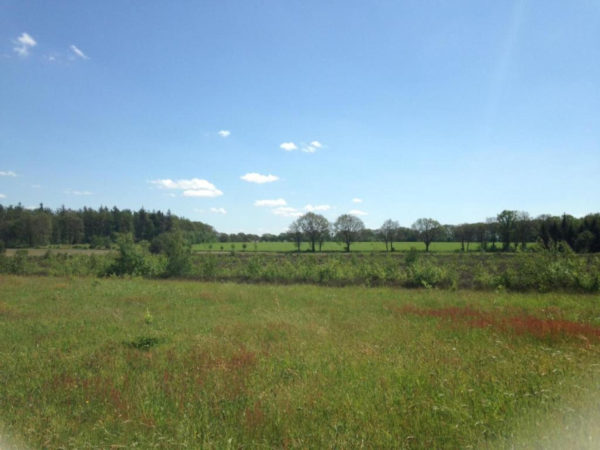 Acker Lodges 1 in Ruinerwold - Foto 39 van 40