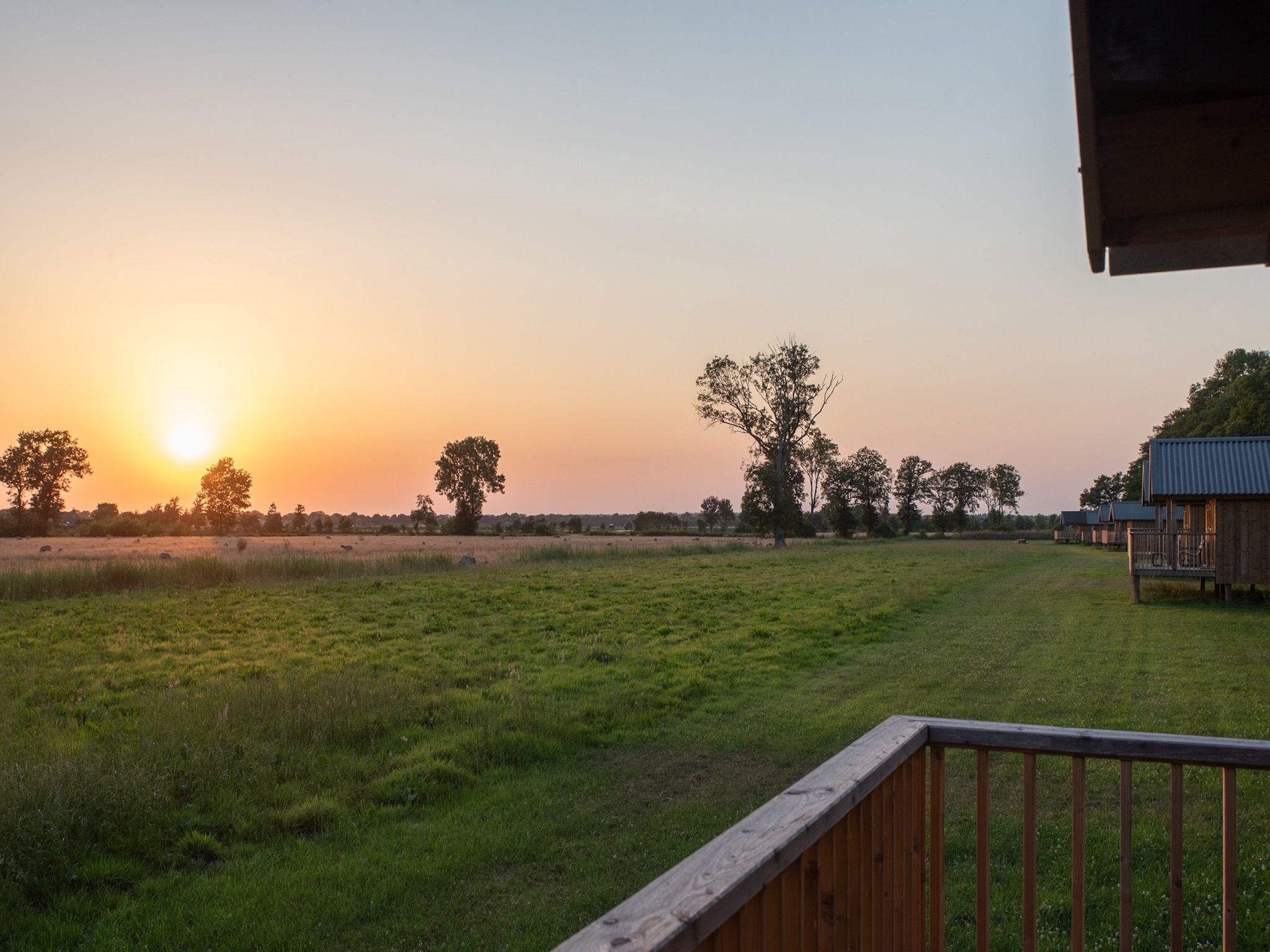 Het uitzicht vanaf Acker Lodges 2 in Ruinerwold