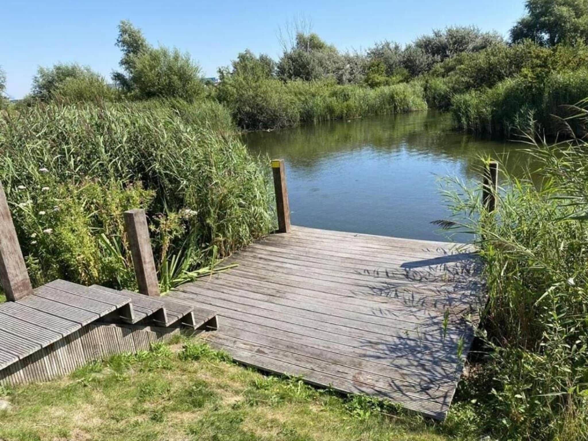 De omgeving van Duinvilla Deluxe met Sauna - 8 personen in Makkum