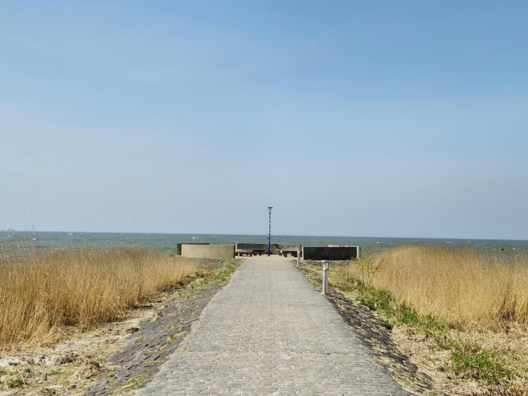De omgeving van Duinvilla Deluxe met Sauna - 8 personen in Makkum