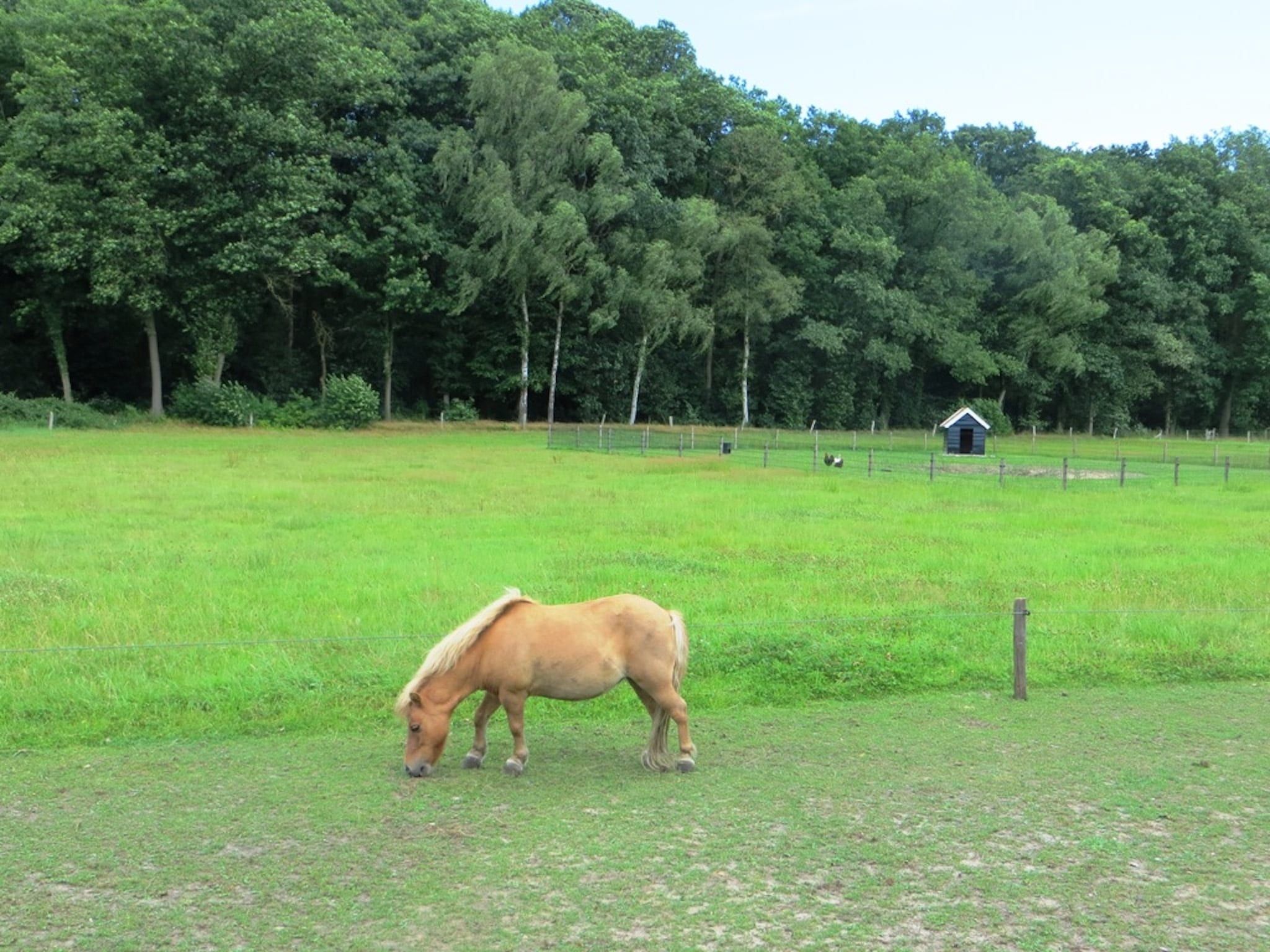 Parkfaciliteiten bij De Familieboerderij in Losser