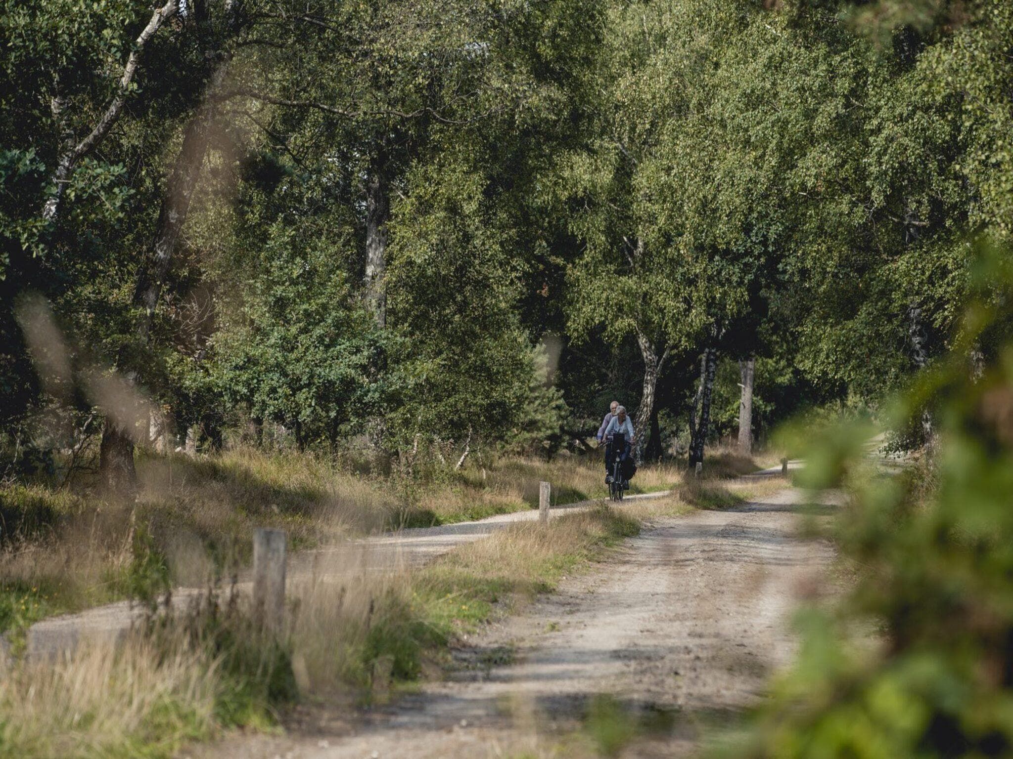 De omgeving van Buitenplaats Holten 19 in Rijssen