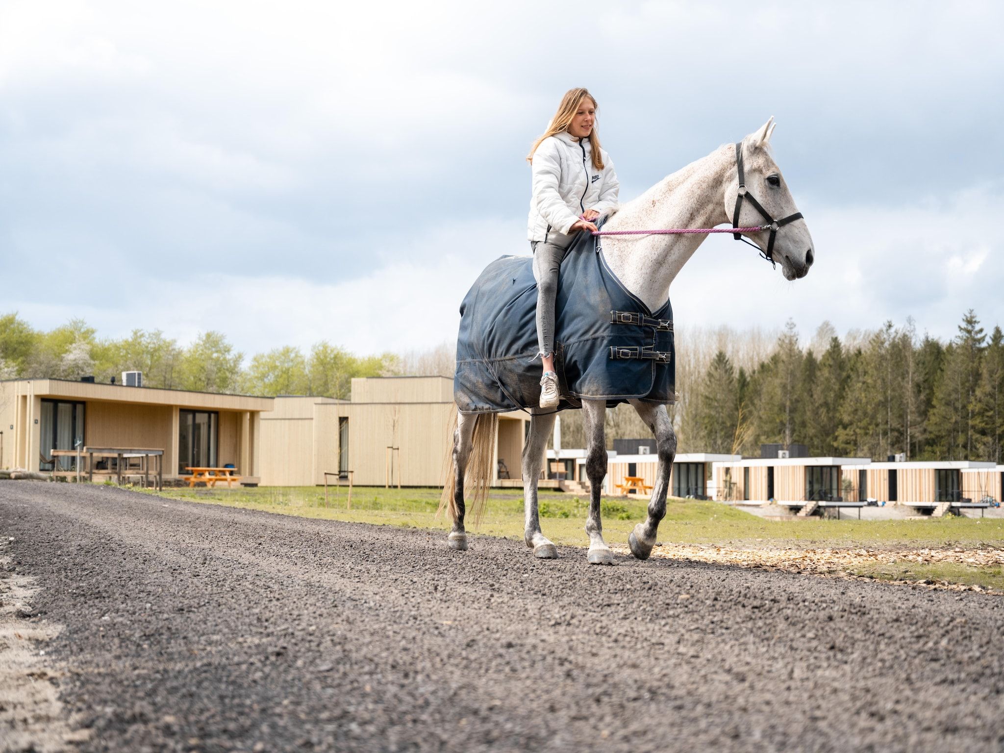 Parkfaciliteiten bij Resort de Parel 15 in Zeewolde