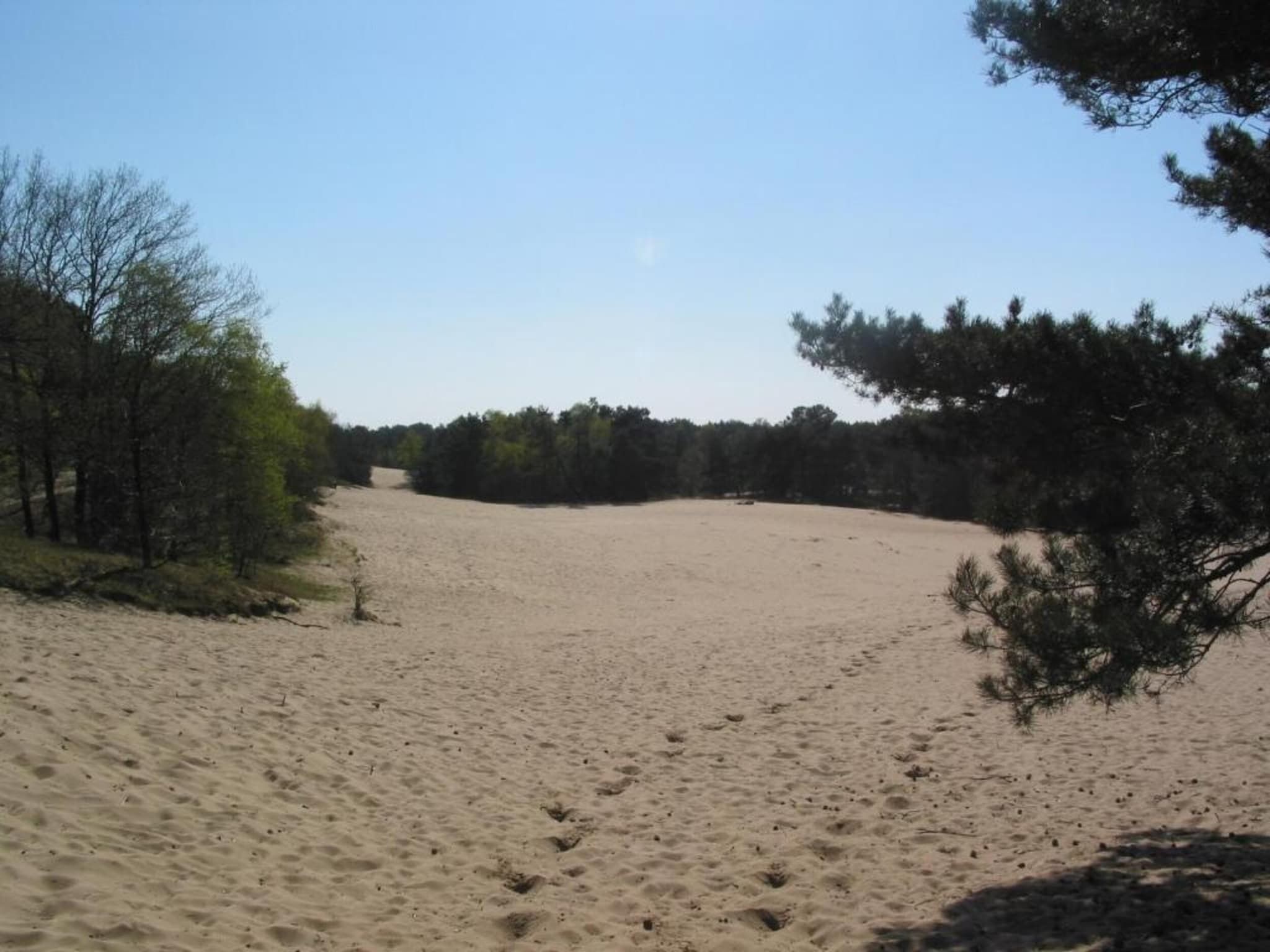 De omgeving van Vakantiepark Schaijk 10 in Schaijk