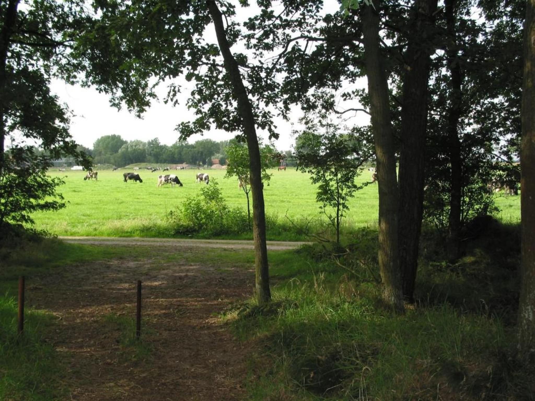 De omgeving van Vakantiepark Schaijk 10 in Schaijk