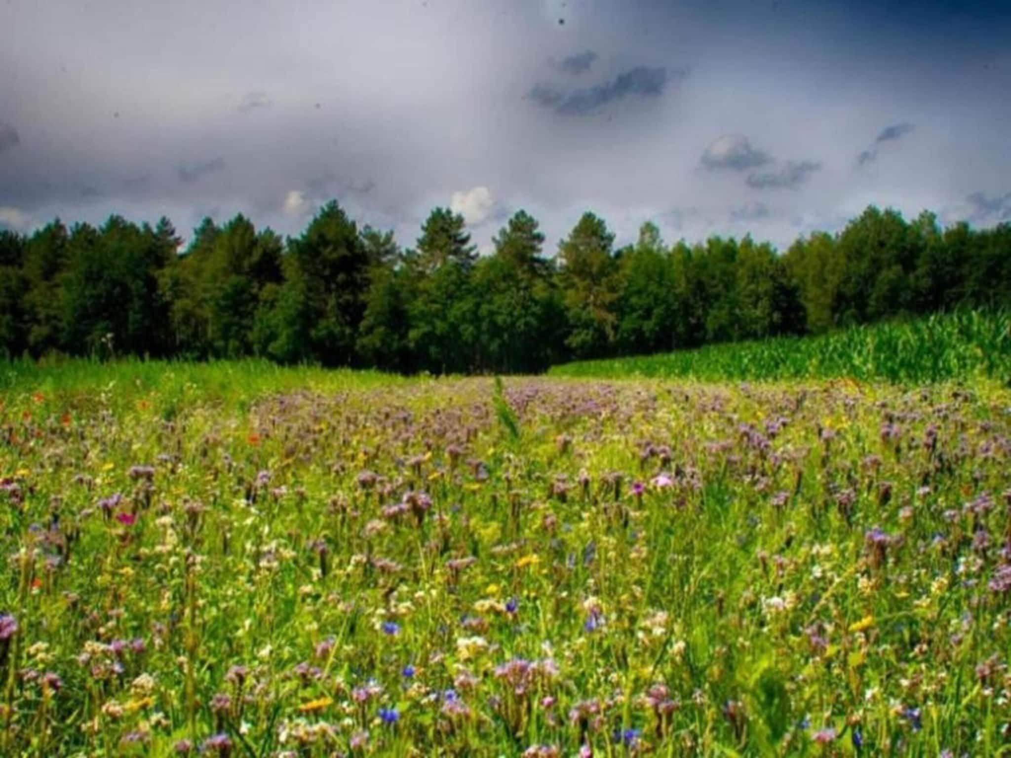 De omgeving van Vakantiepark Schaijk 10 in Schaijk