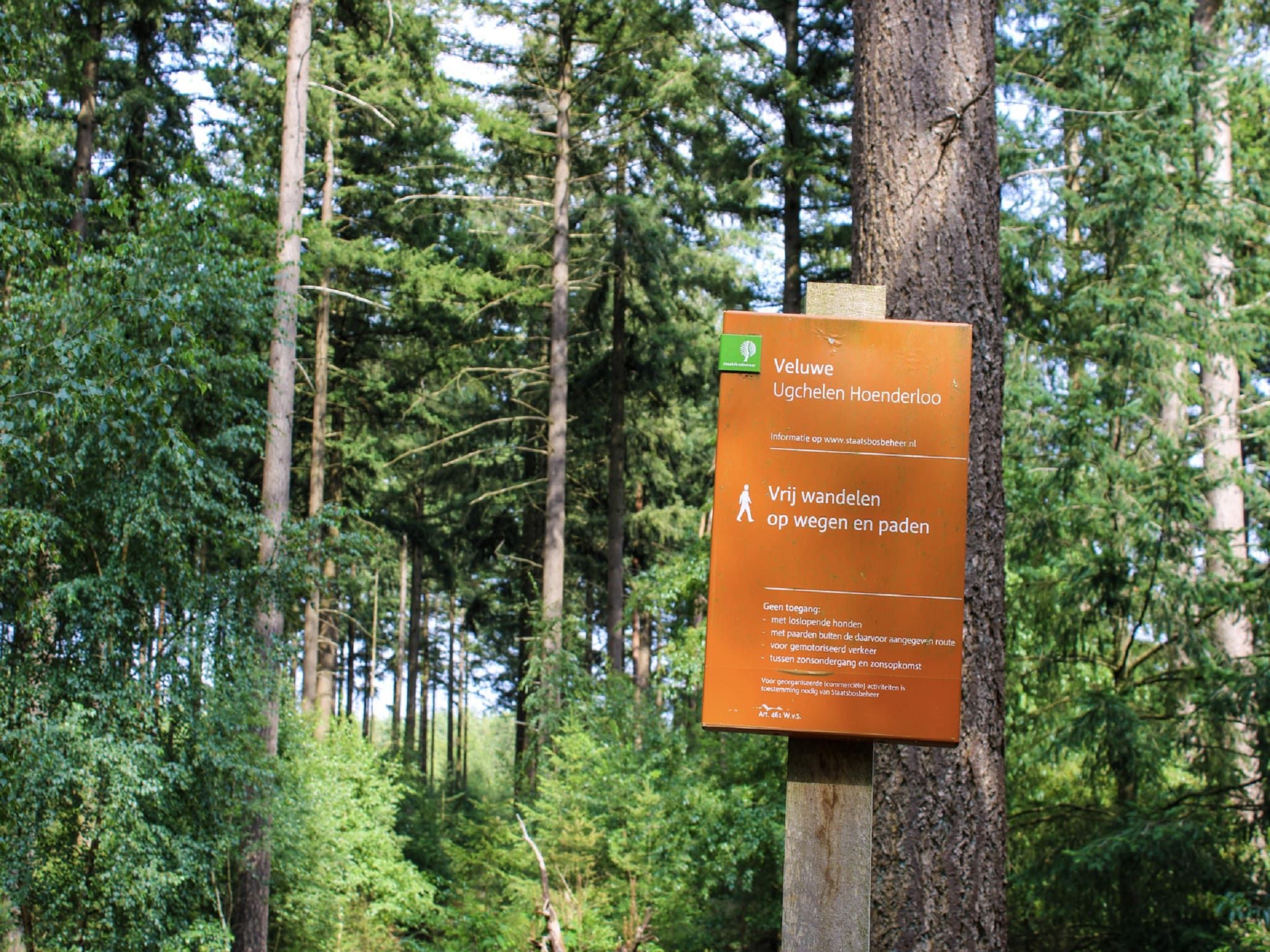 Parkfaciliteiten bij Vakantiepark De Rimboe & De Woeste Hoogte 41 in Hoenderloo