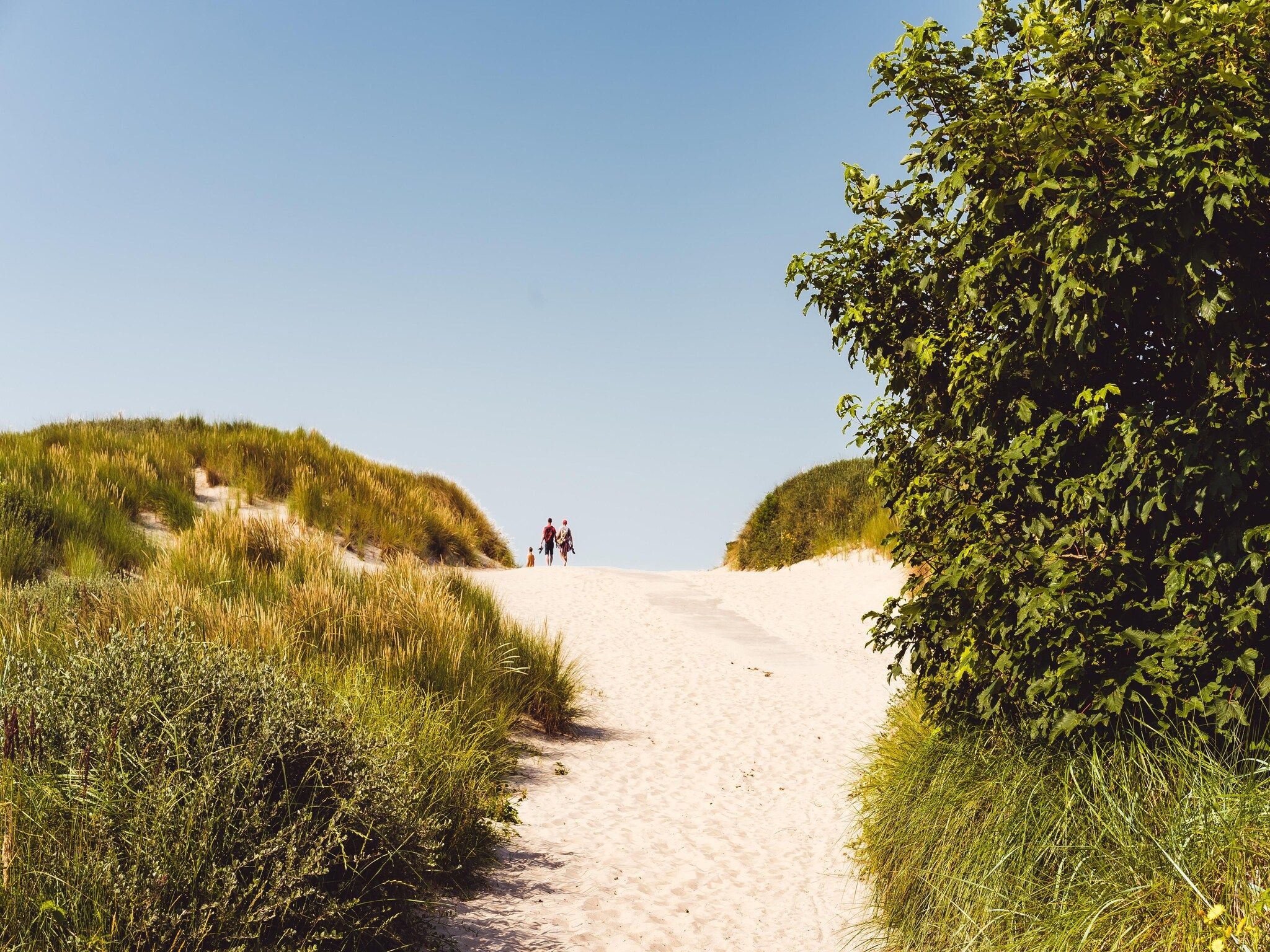 De omgeving van Vakantiepark Boomhiemke 17 in Hollum