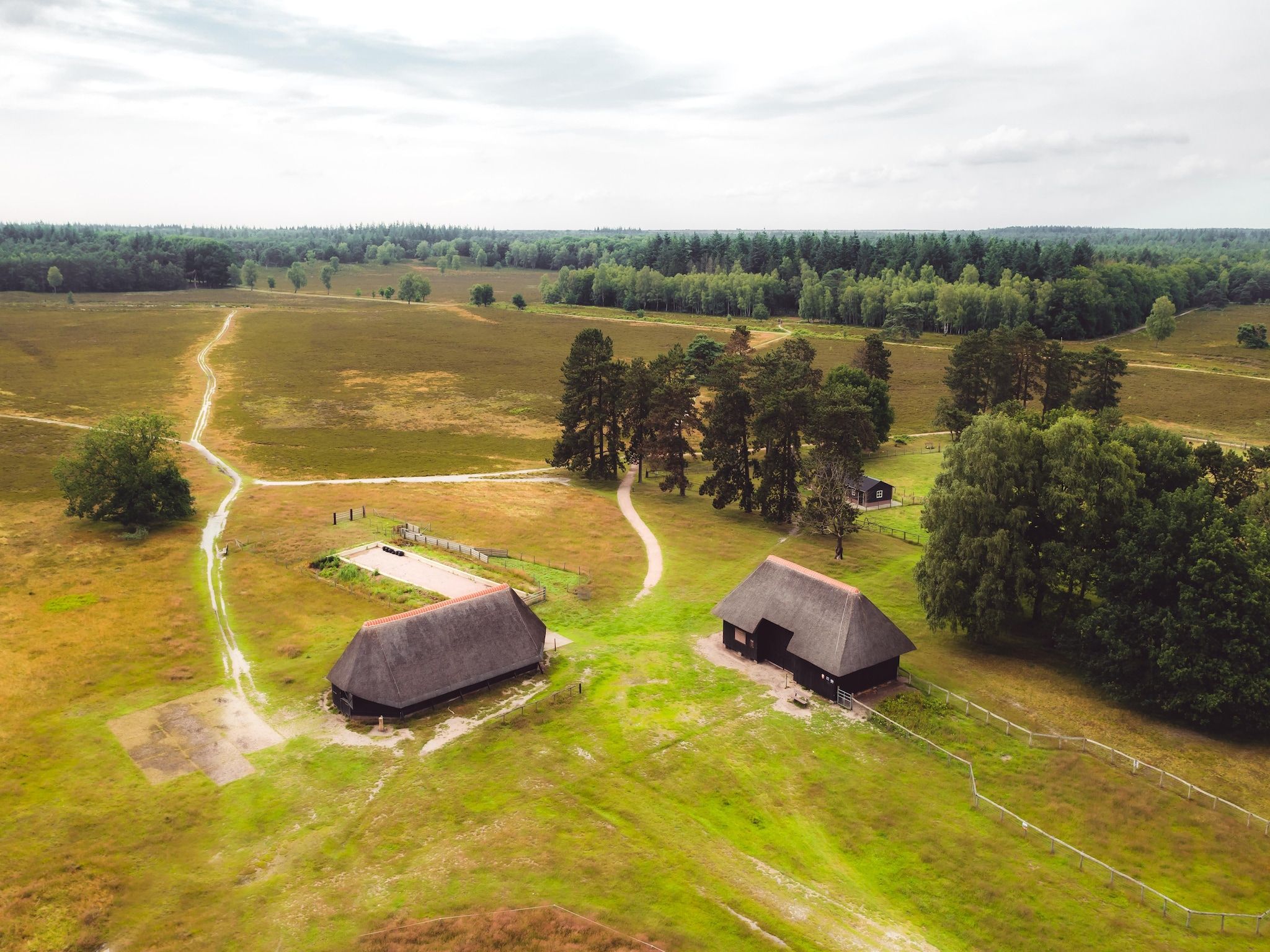 De omgeving van Bospark de Schaapskooi 10 in Wissel/Epe