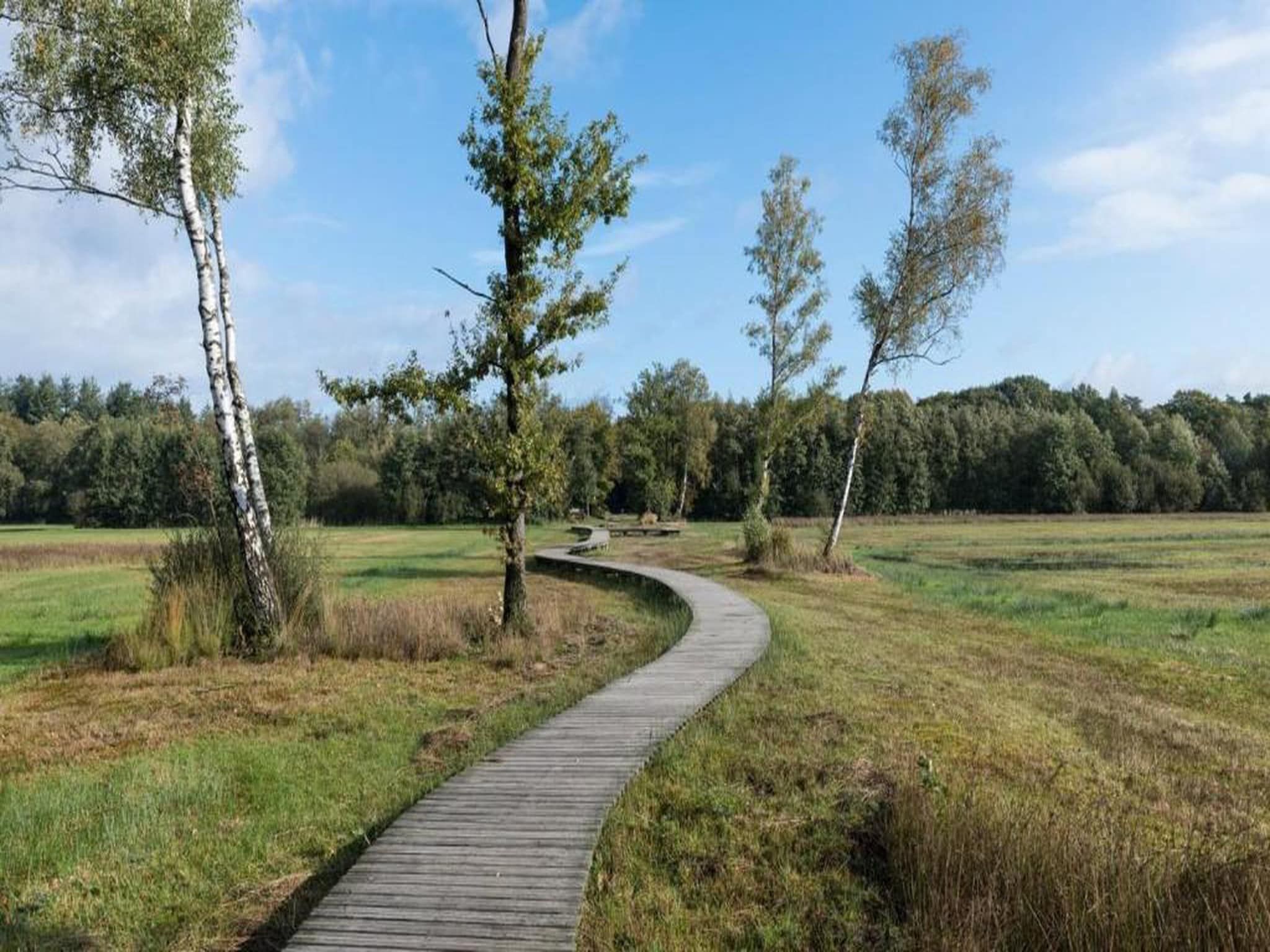 Bospark de Schaapskooi 10 in Wissel/Epe - Foto 36 van 40