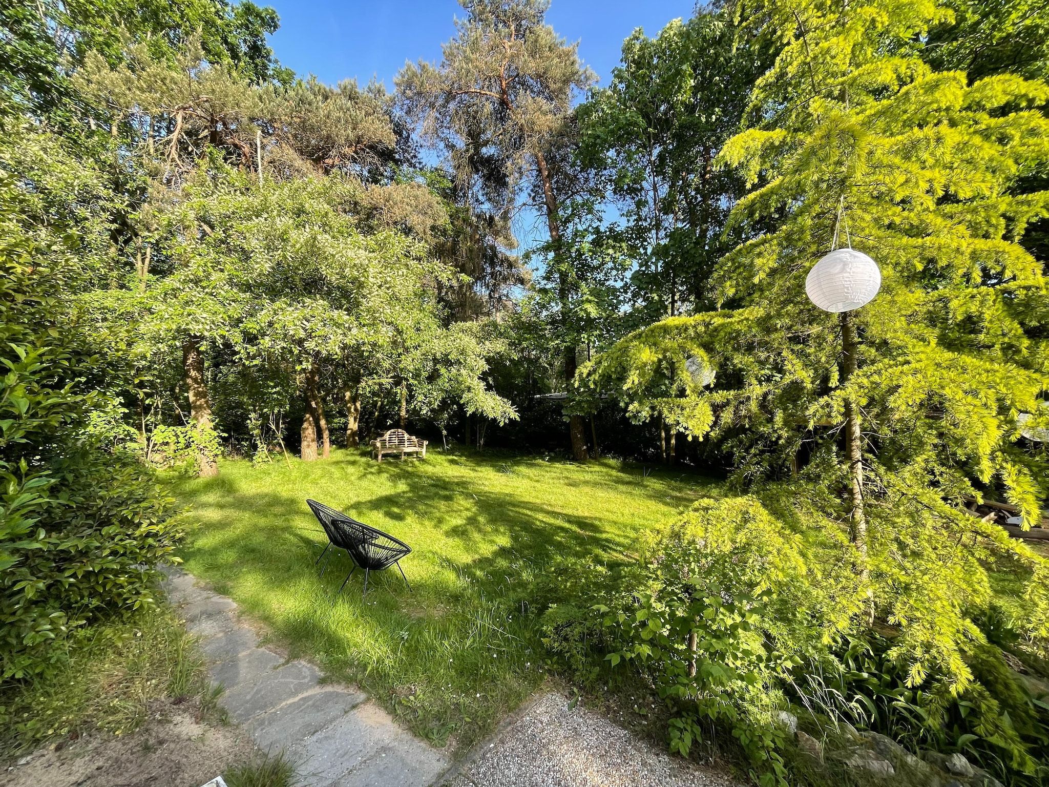 Het uitzicht vanaf Bos suite in Zelhem