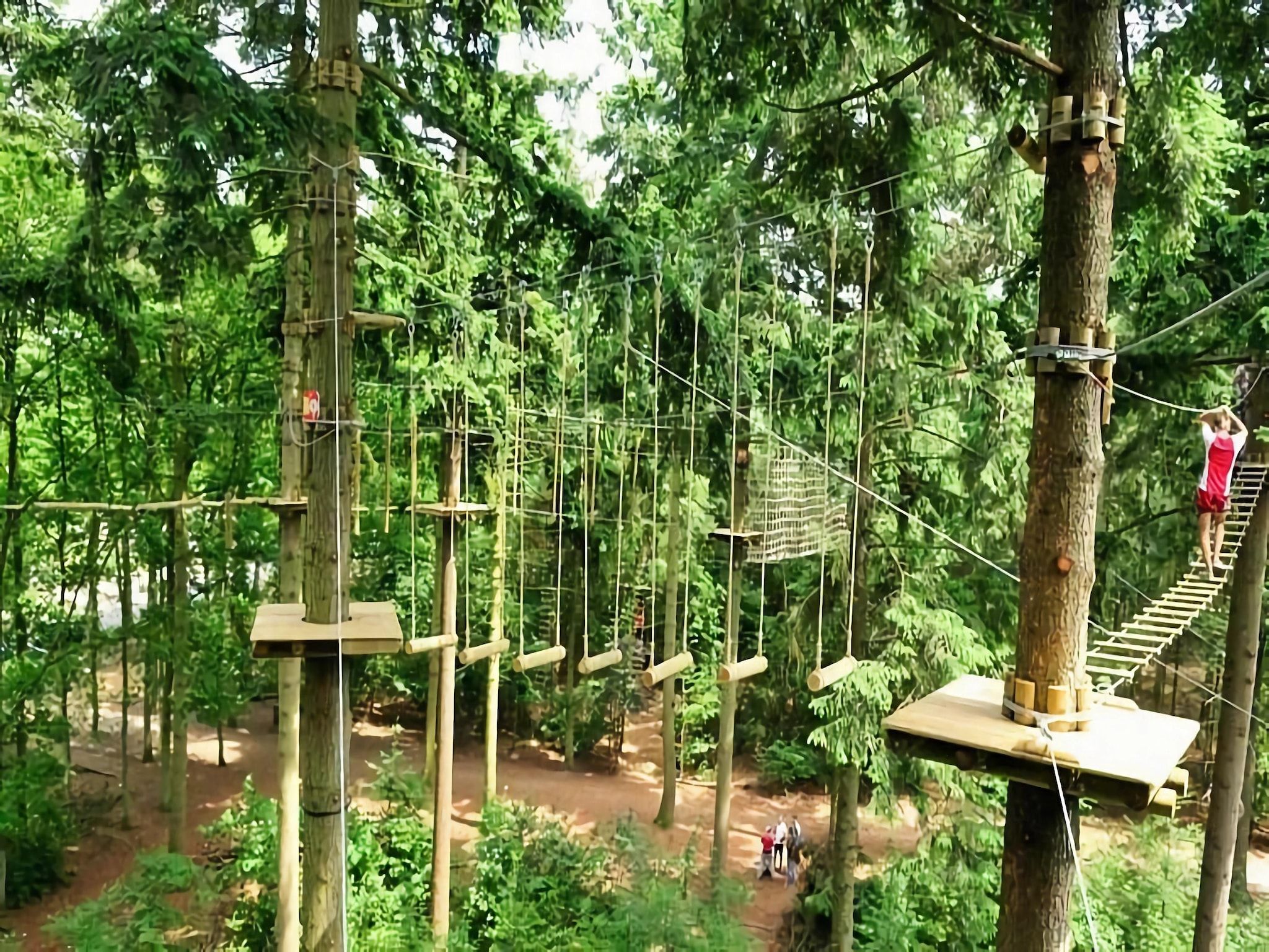De omgeving van Bos suite in Zelhem