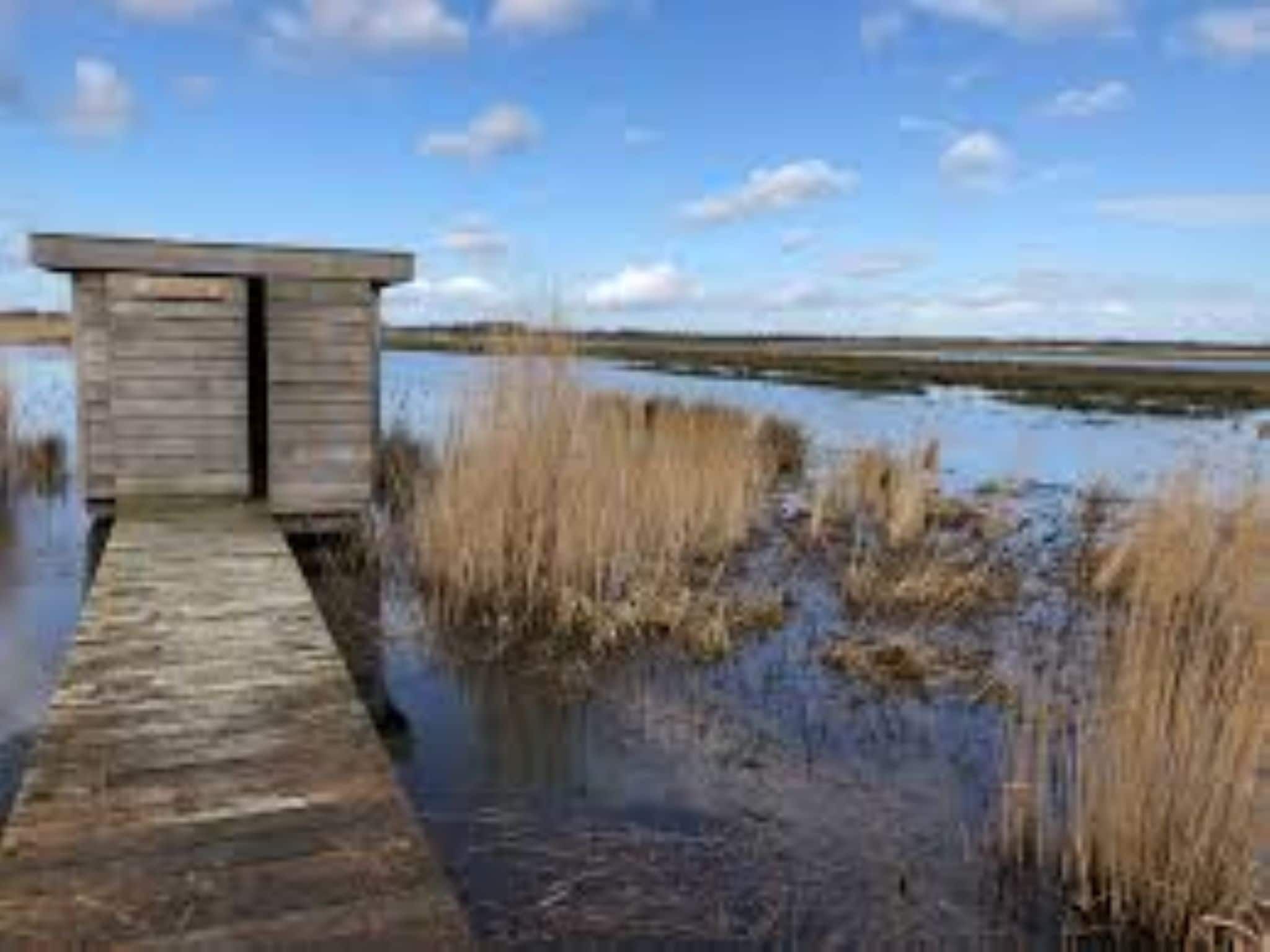 De omgeving van Twee safaritenten "Noflik" & "Gaadlik" naast elkaar in Twijzel