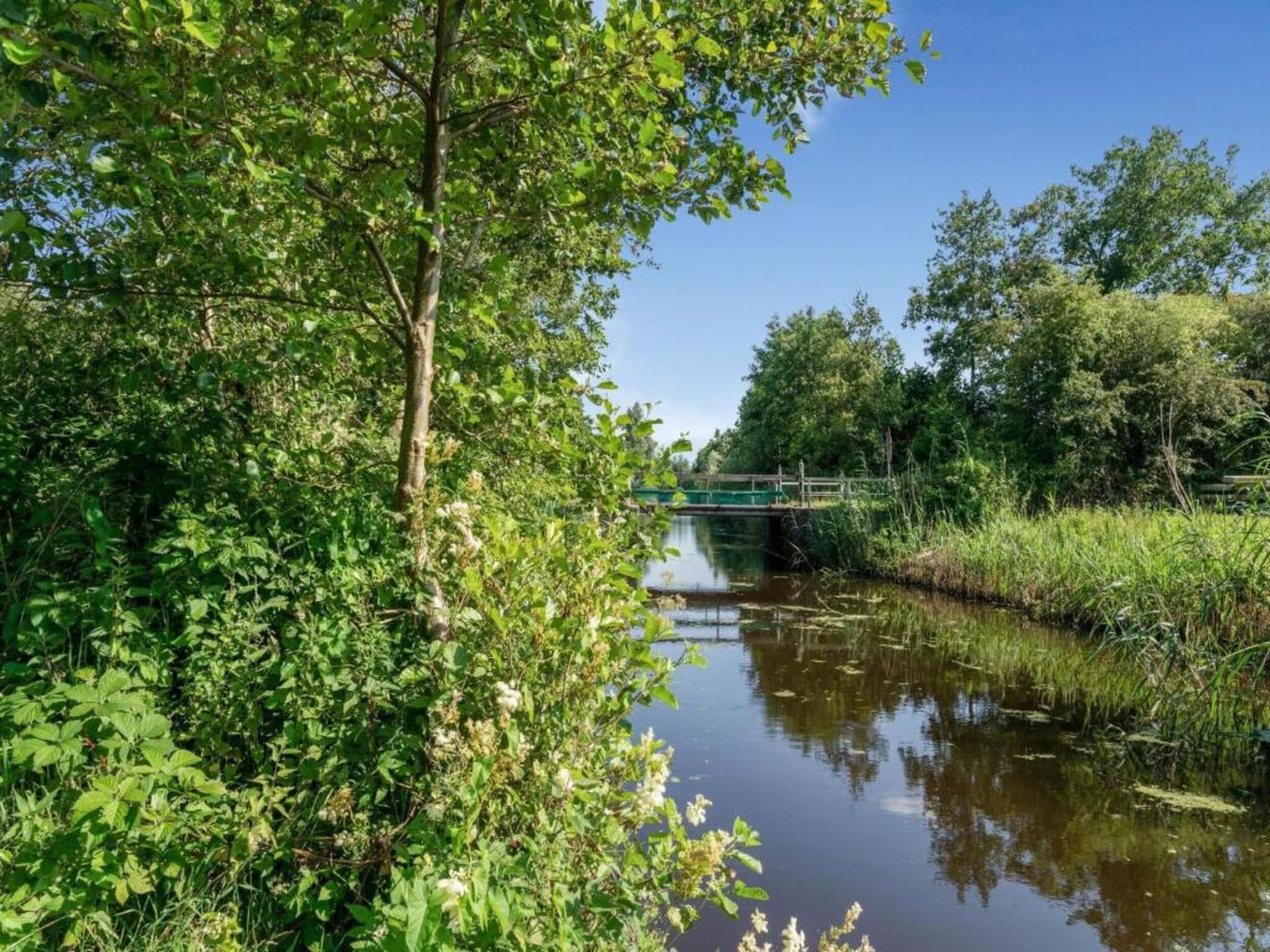 De omgeving van Twee safaritenten "Noflik" & "Gaadlik" naast elkaar in Twijzel