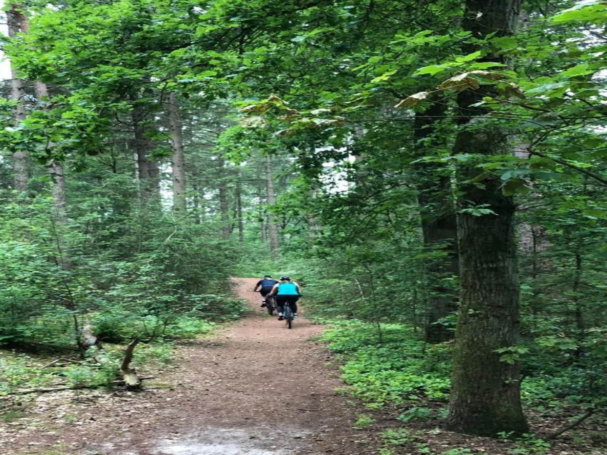 De omgeving van Bospark 't Wolfsven 21 in Mierlo