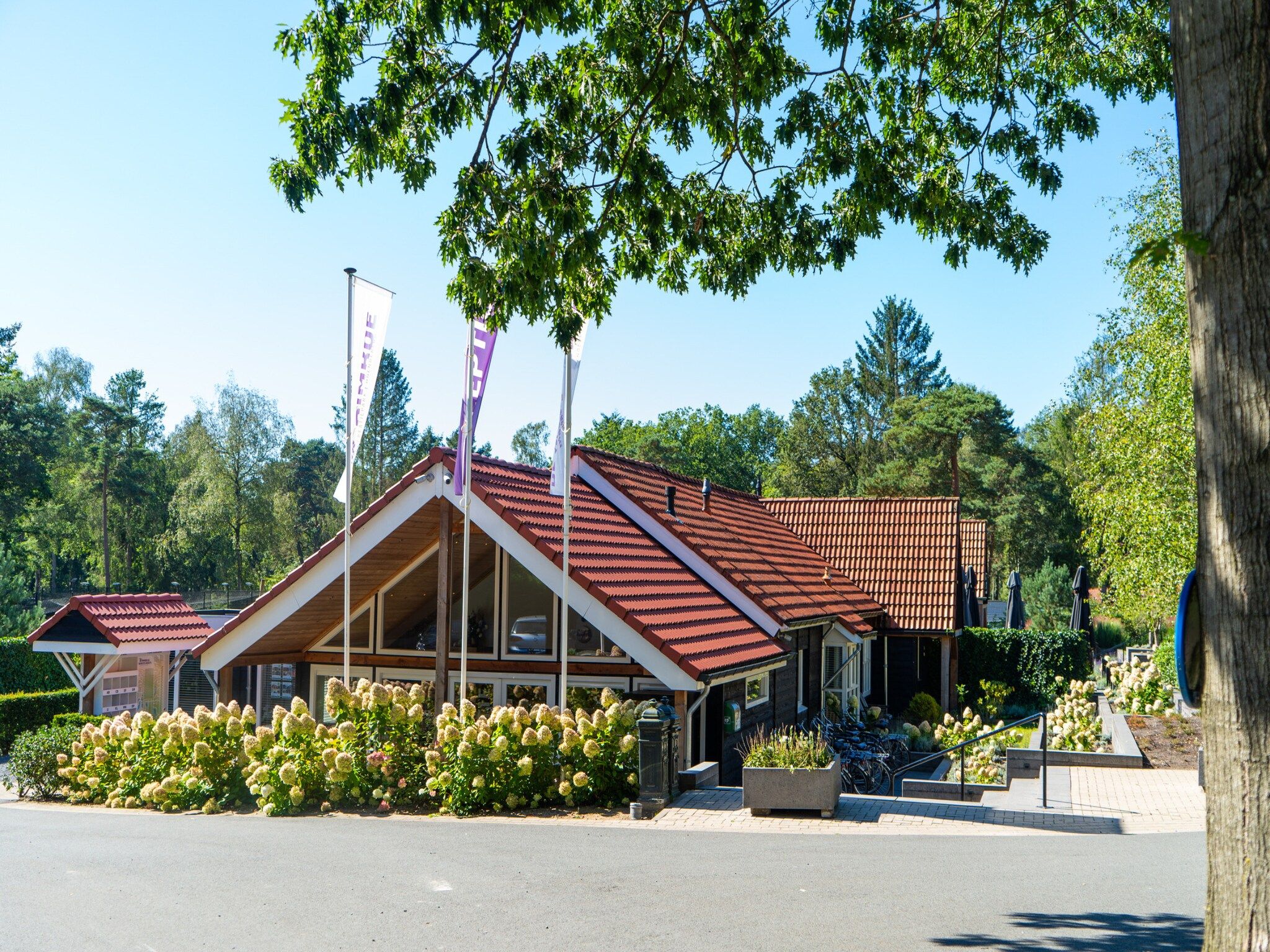 Parkfaciliteiten bij Vakantiepark De Rimboe & De Woeste Hoogte 40 in Hoenderloo