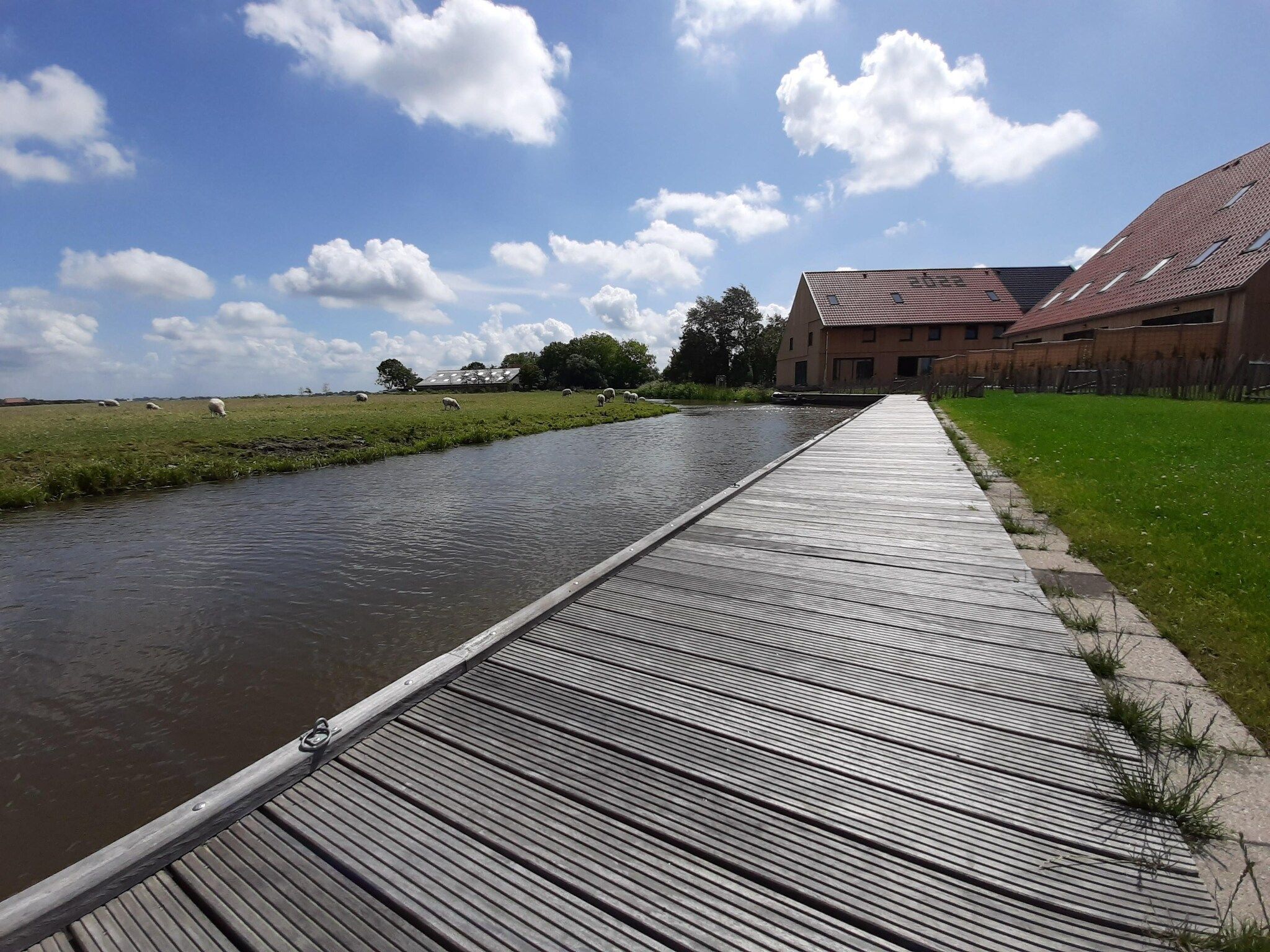 De tuin van Friese Villa - 6 persoons met sloep optioneel bij te boeken in Leons