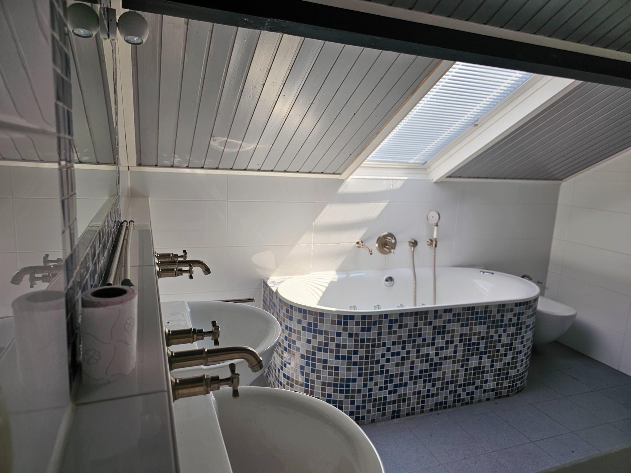 De badkamer van Dorpswoning Het Tolhuis in Leende