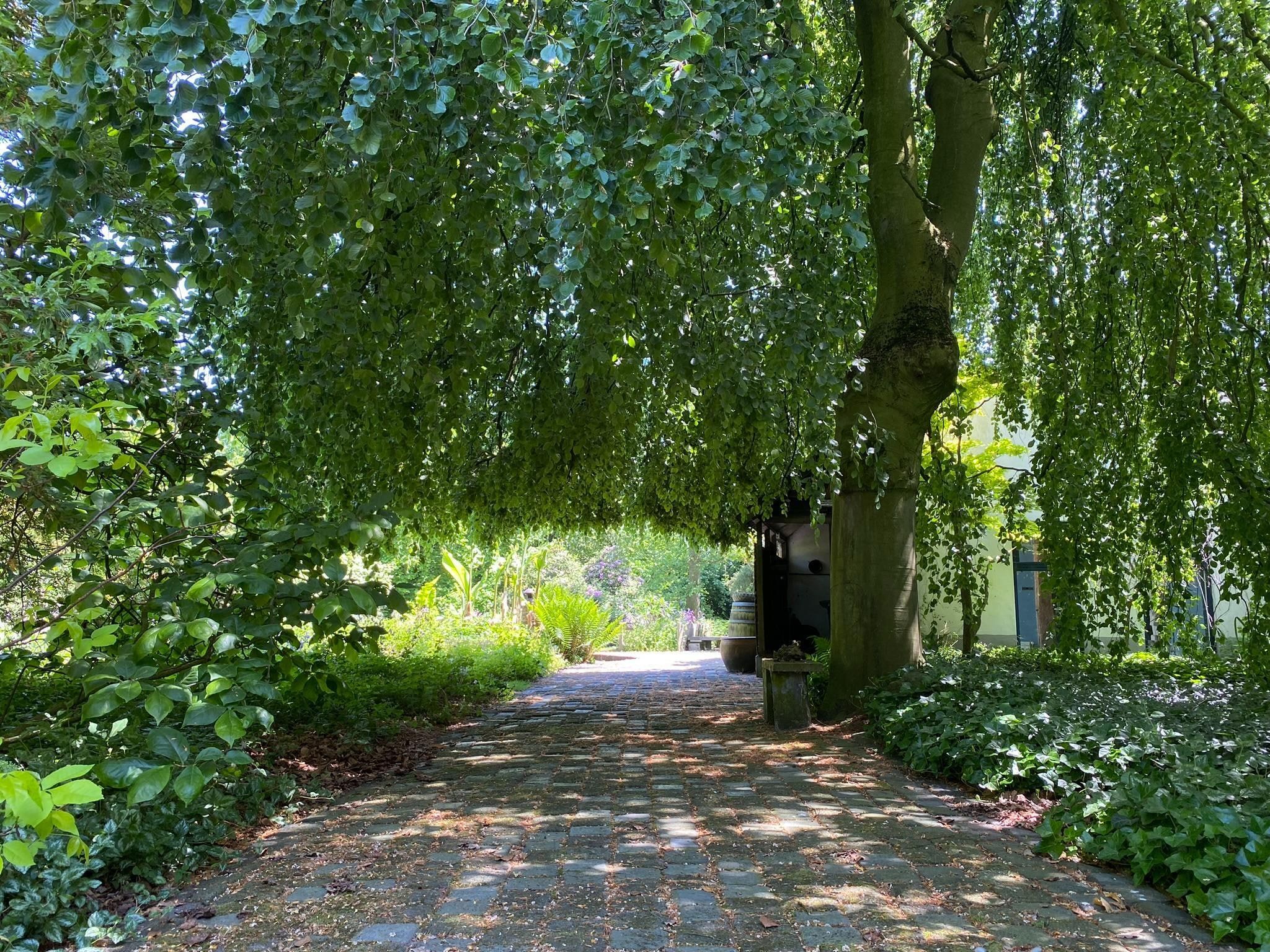 De tuin van Dorpswoning Het Tolhuis in Leende