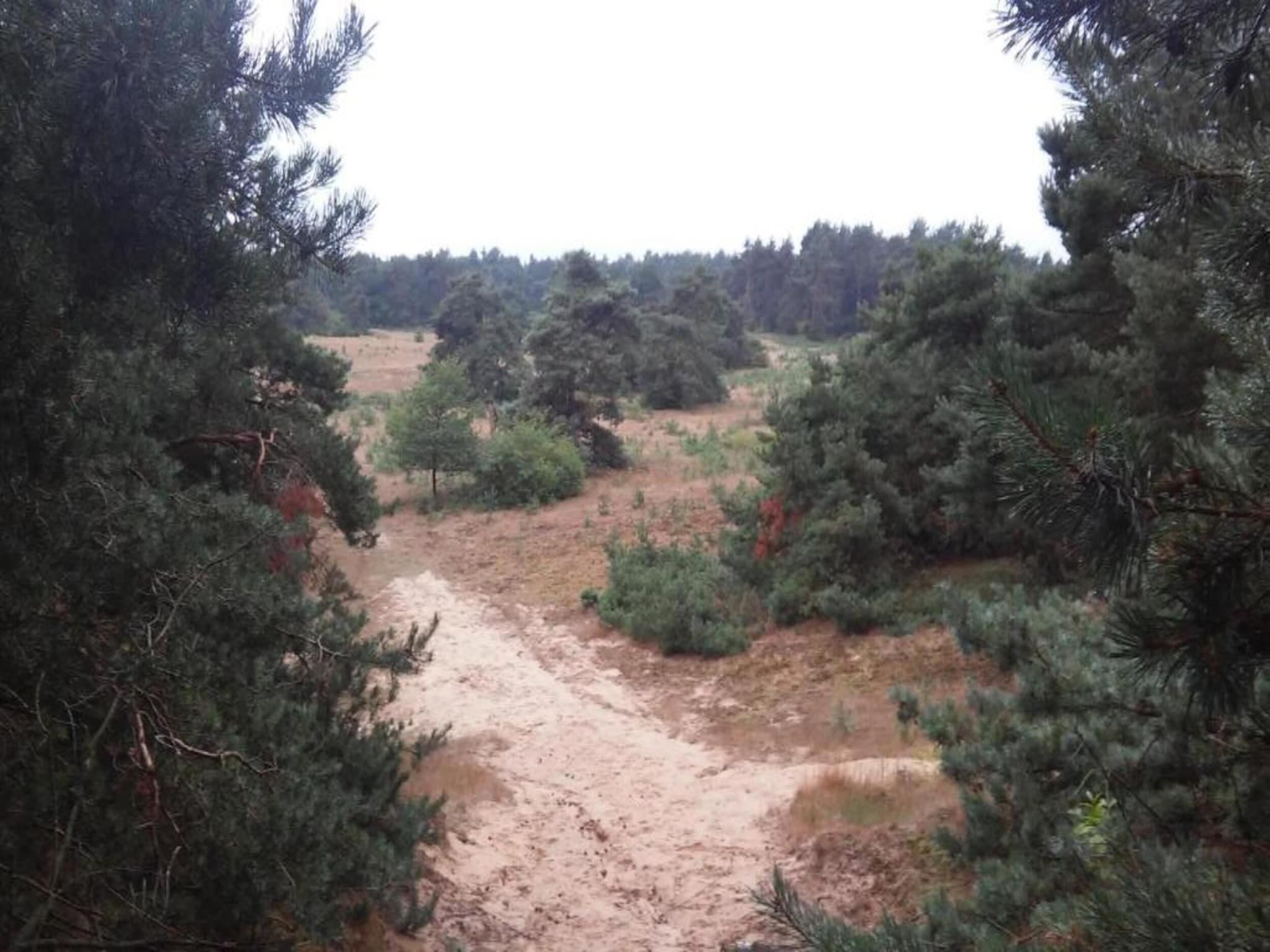 Landgoed De IJsvogel 12 in Voorthuizen - Foto 31 van 41