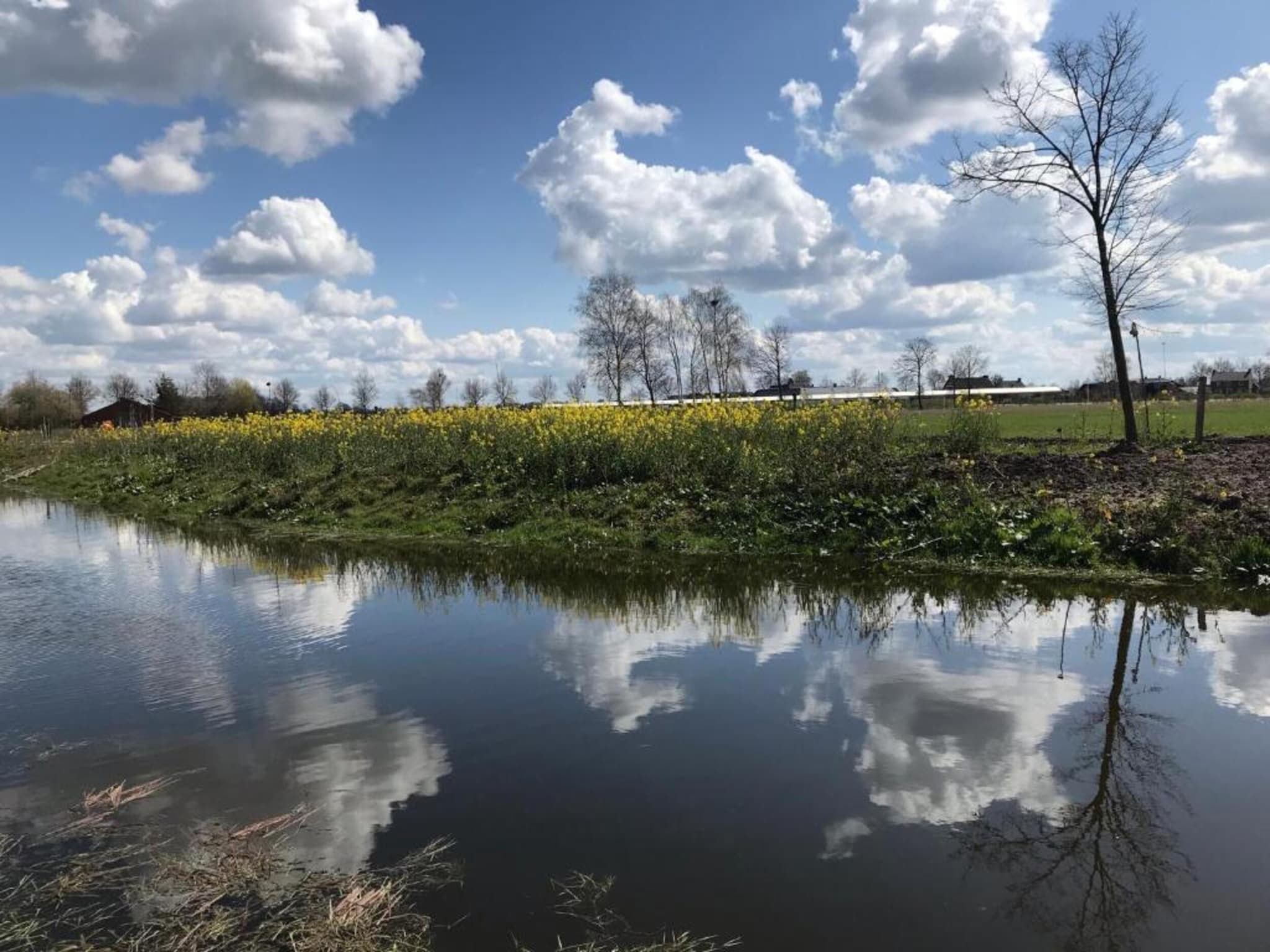 De omgeving van Vakantiepark Schaijk 13 in Schaijk