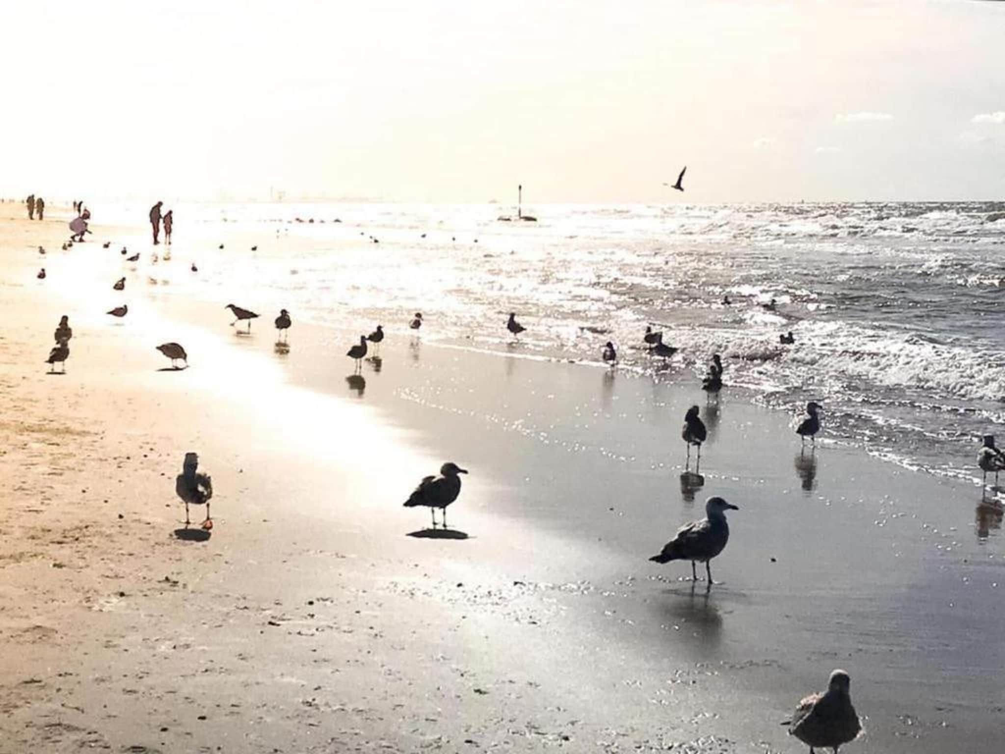 Vakantiepark Duinrust 3 in Noordwijk aan zee - Foto 35 van 40