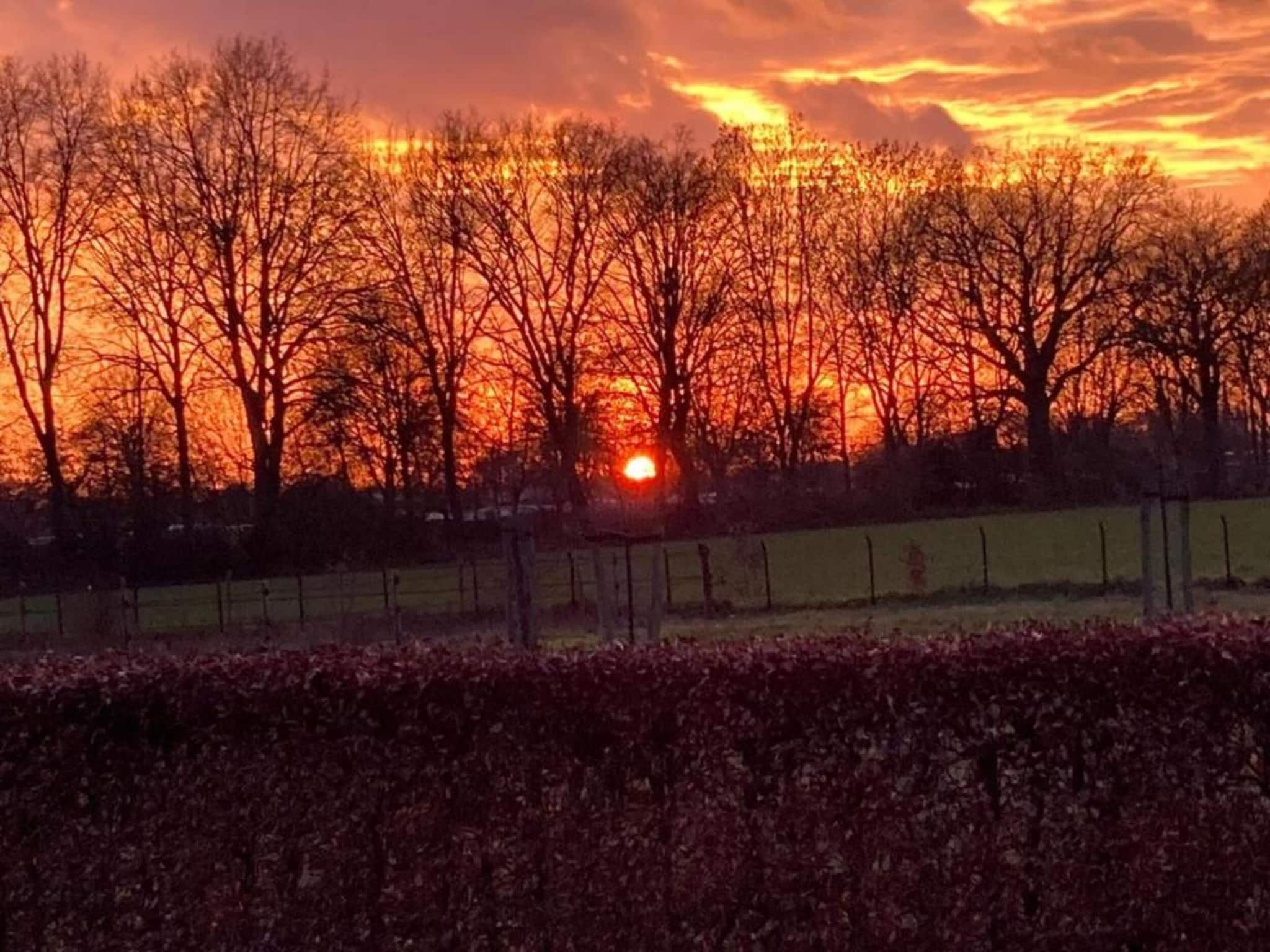 Vakantie bij Meeussen - Molendal 3 in Plasmolen - Foto 30 van 40