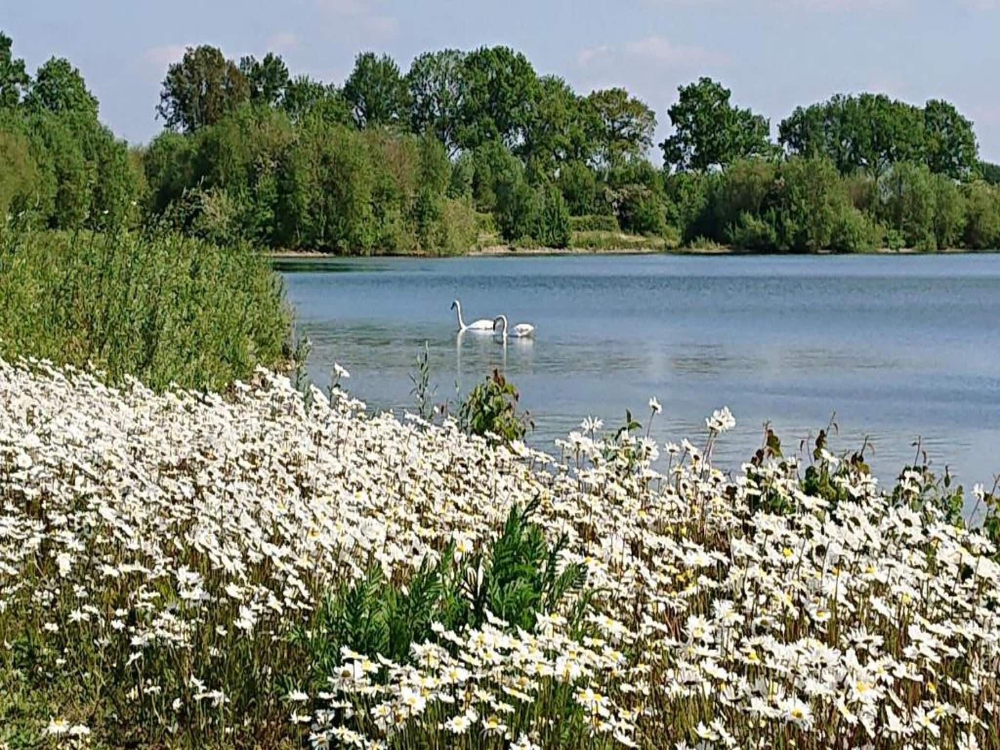 Vakantie bij Meeussen - Molendal 4 in Plasmolen - Foto 37 van 41