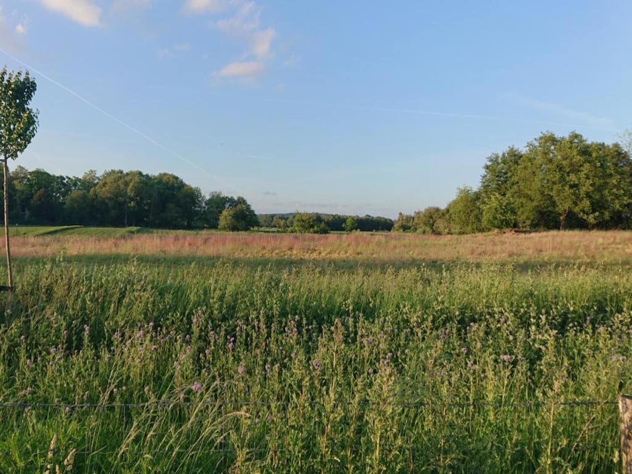 Vakantie bij Meeussen - Molendal 4 in Plasmolen - Foto 38 van 41