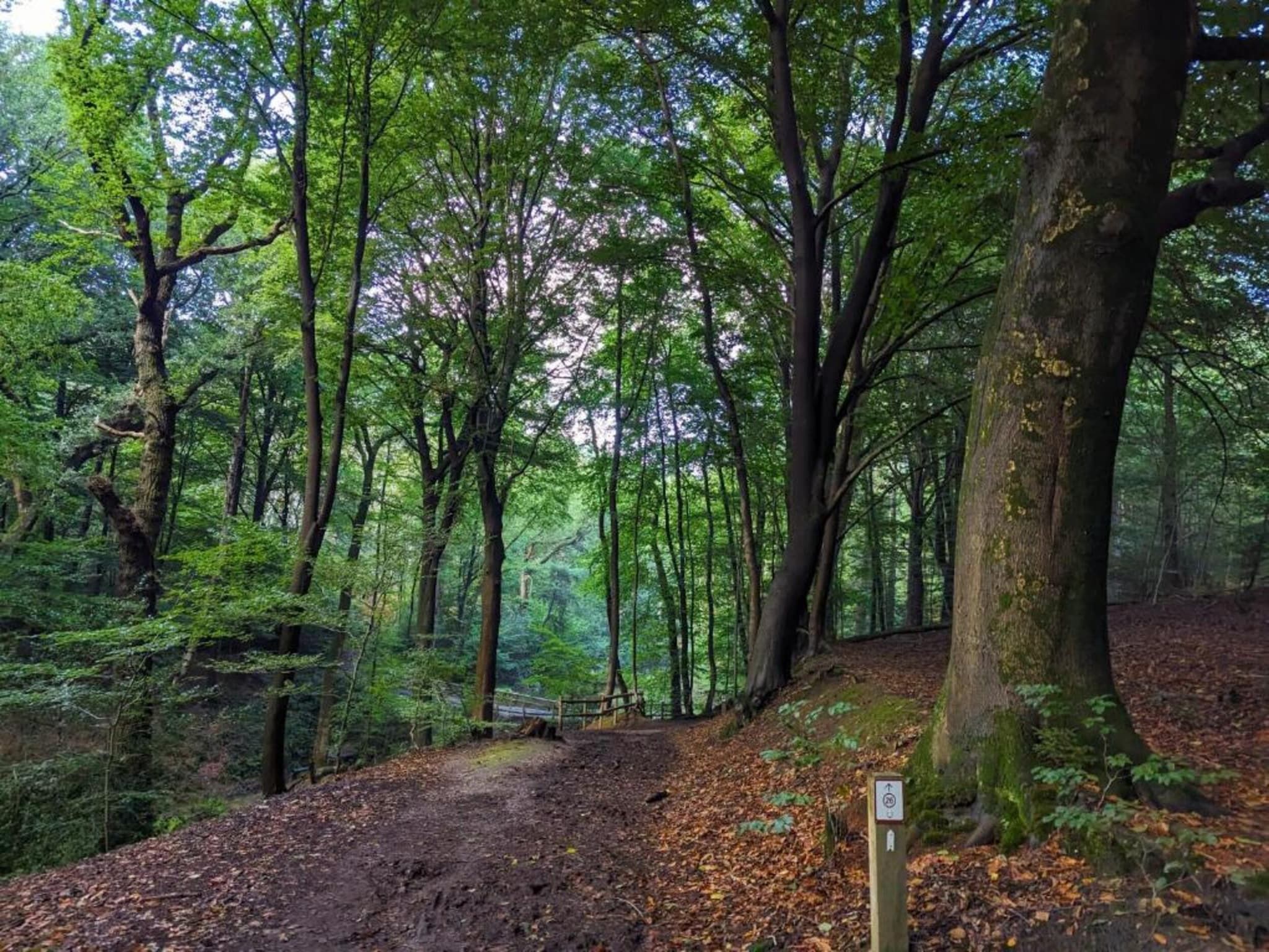 Vakantie bij Meeussen - Molendal 4 in Plasmolen - Foto 40 van 41