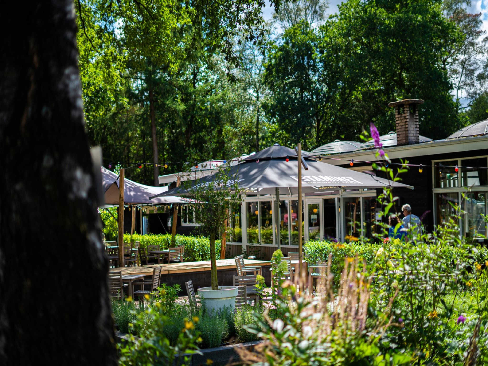 Parkfaciliteiten bij Vakantiepark De Rimboe & De Woeste Hoogte 42 in Hoenderloo