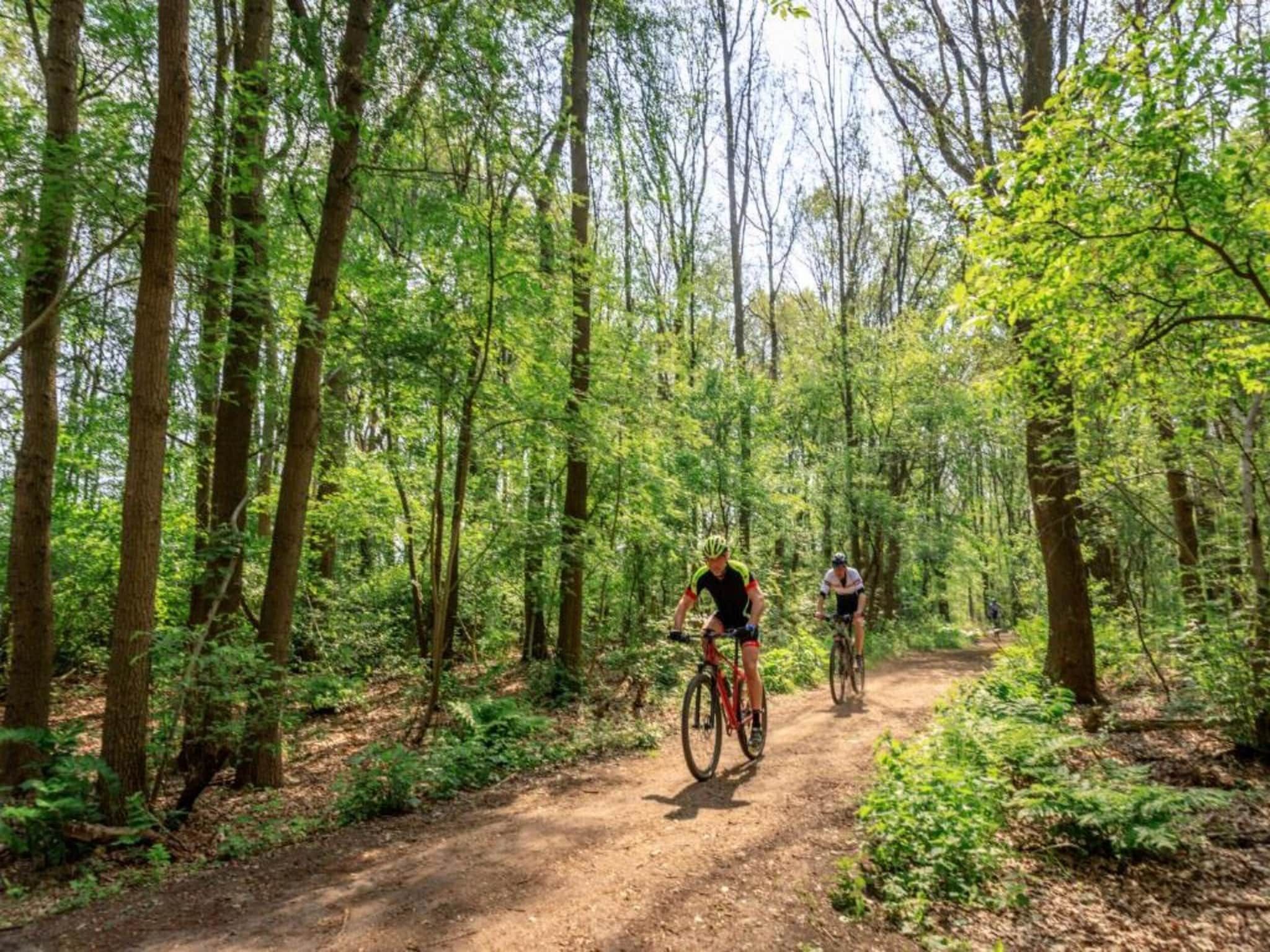 De omgeving van Resort Drentse Weelde 1 in Hoogersmilde