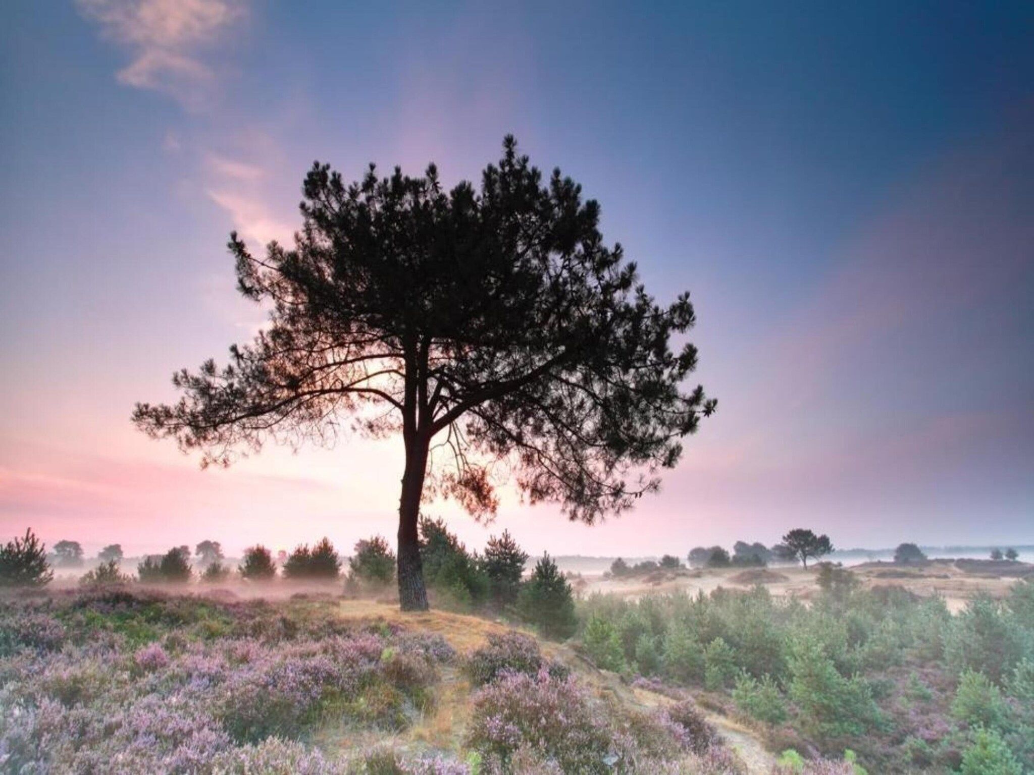 De omgeving van Resort Drentse Weelde 1 in Hoogersmilde