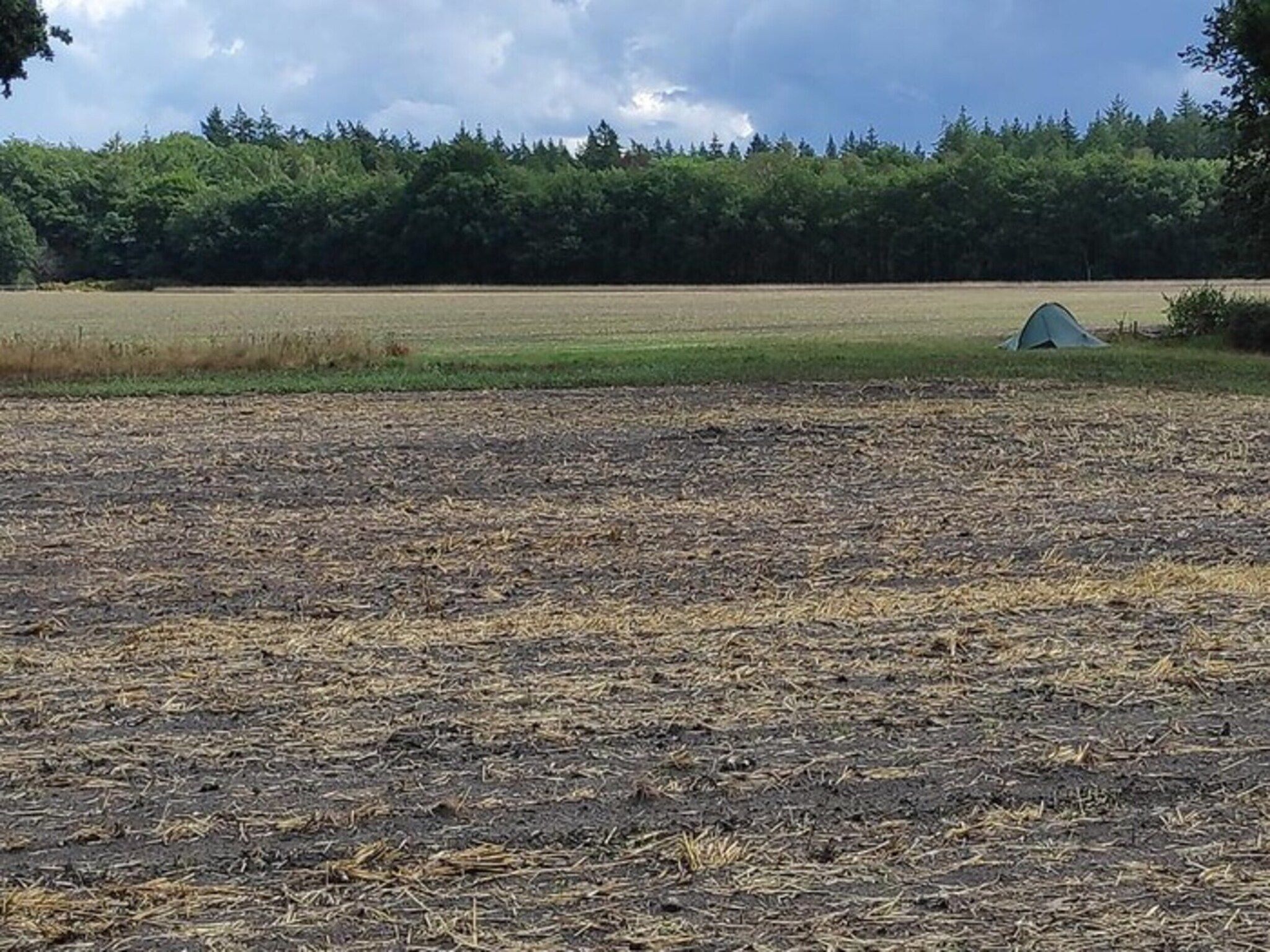 Dwergarend 17-22 in Voorthuizen - Foto 28 van 39