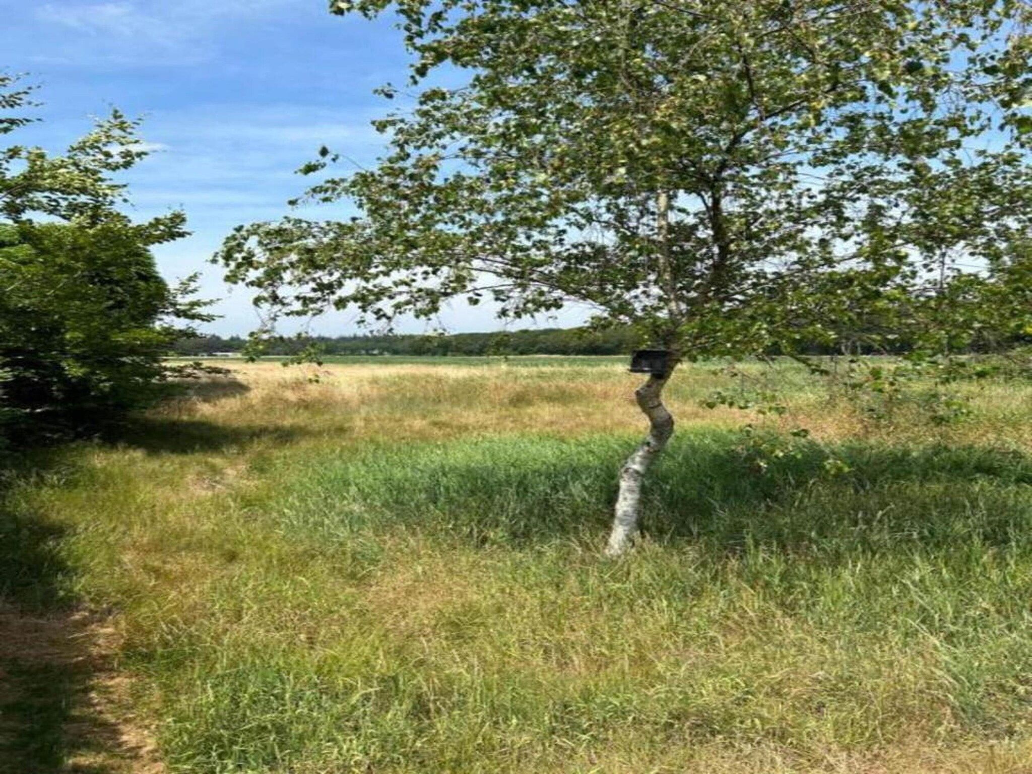 't Landgoed Baars 1 in Baars - Foto 30 van 38
