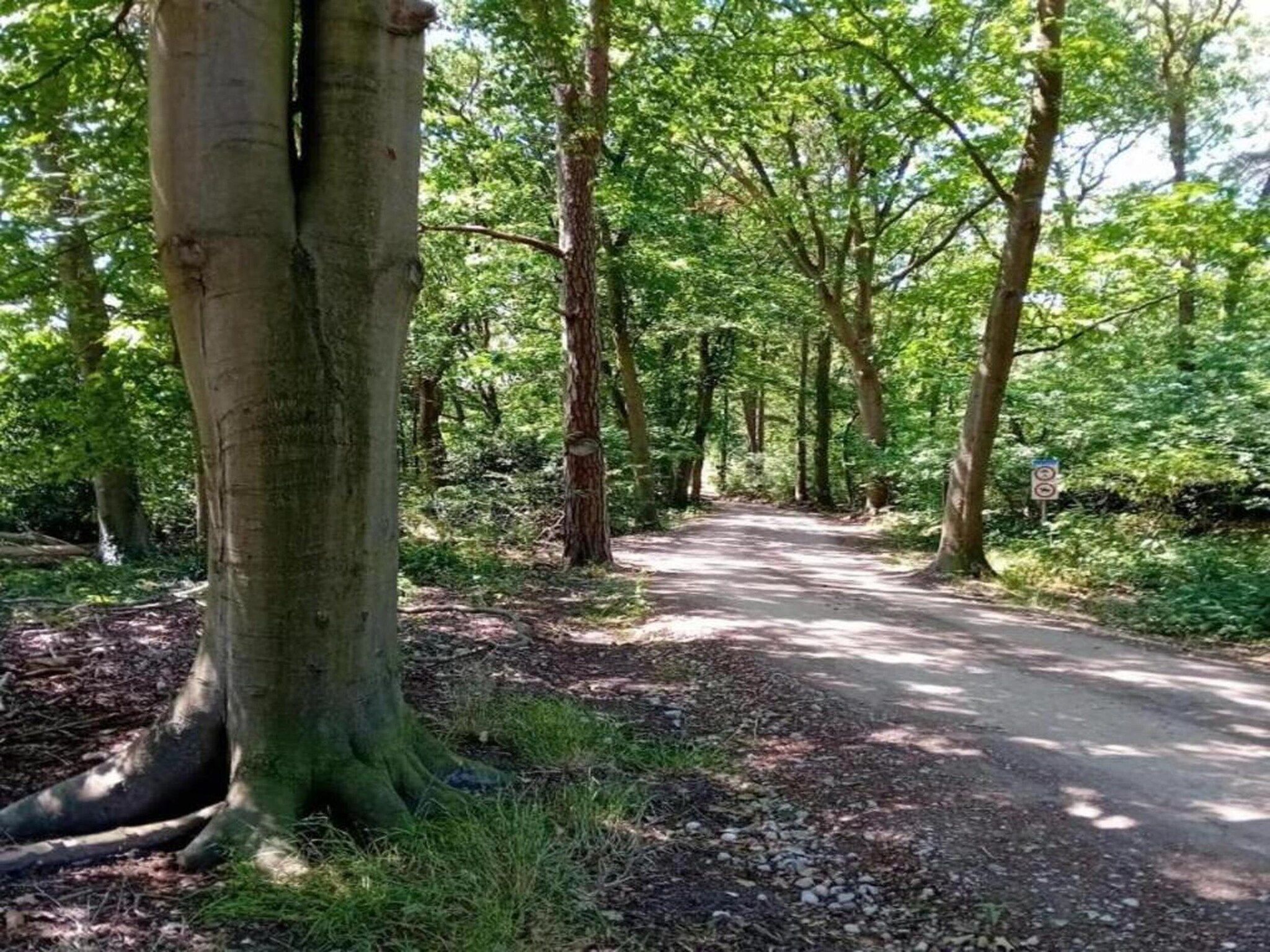 't Landgoed Baars 3 in Baars - Foto 26 van 34