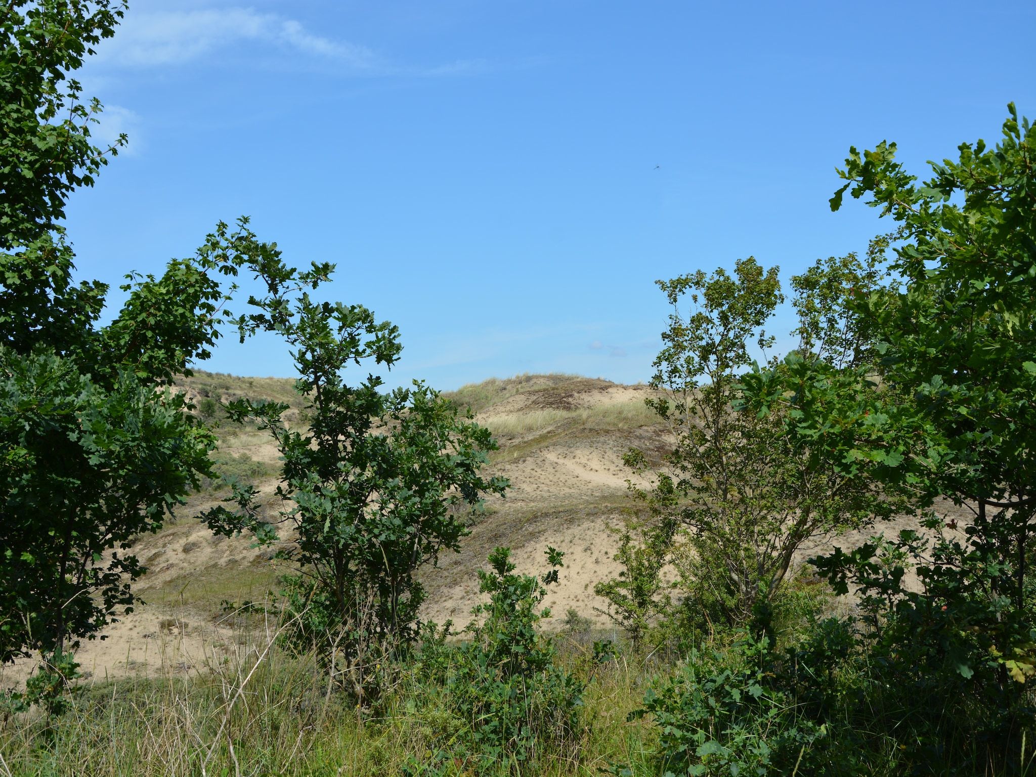 De omgeving van Casa Duna in Noordwijkerhout