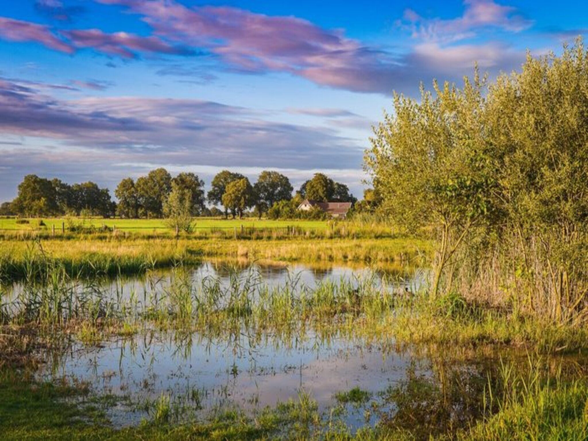 De omgeving van Vakantiepark Mölke 36 in Zuna