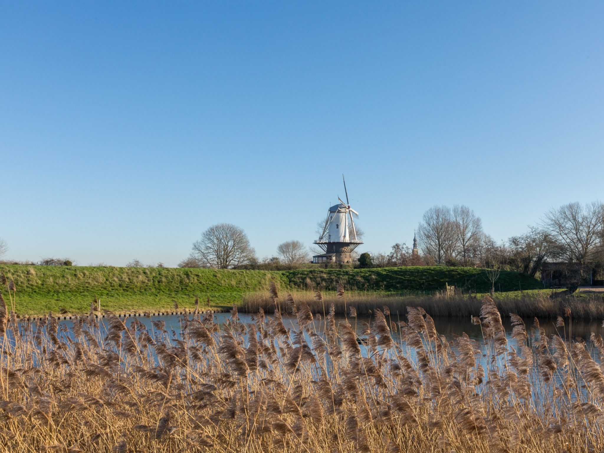 De omgeving van Nescio in Veere