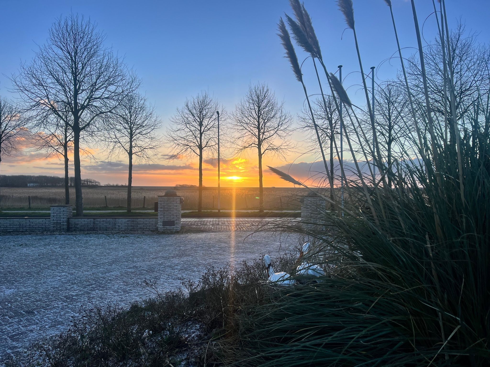 Sfeerbeeld van Vakantiepark 't Eibernest Texel 8 in De Cocksdorp