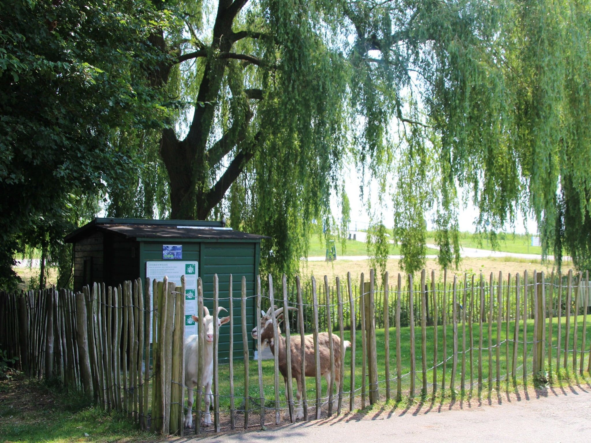 Parkfaciliteiten bij 6 pers Welness huis 83 in Zevenhuizen