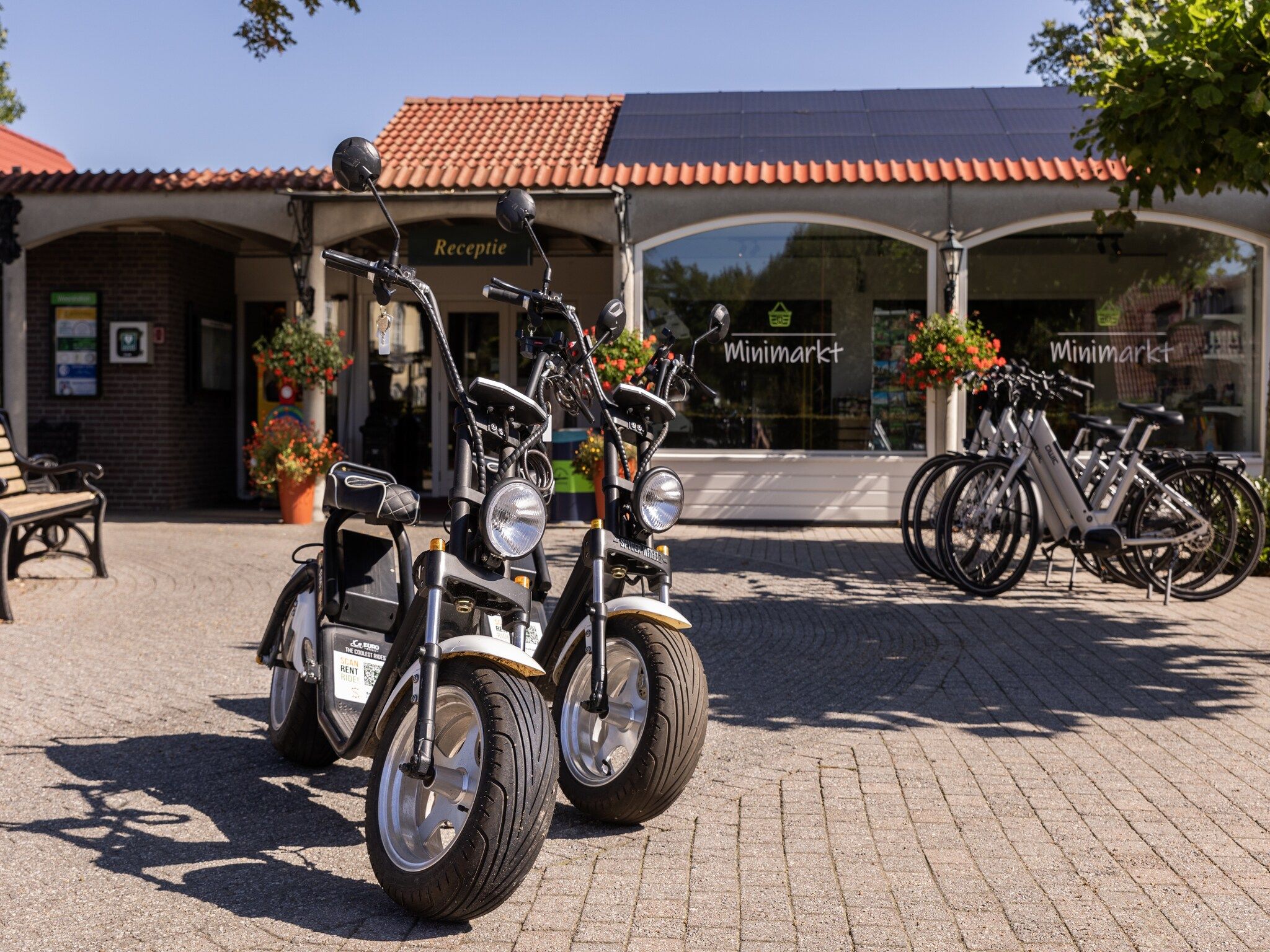 Parkfaciliteiten bij Parc Duc de Brabant 4 in Diessen-Baarschot