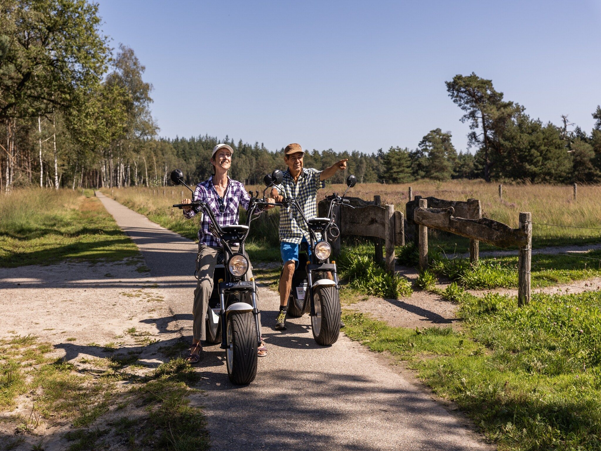 Sfeerbeeld van Parc Duc de Brabant 11 in Diessen-Baarschot