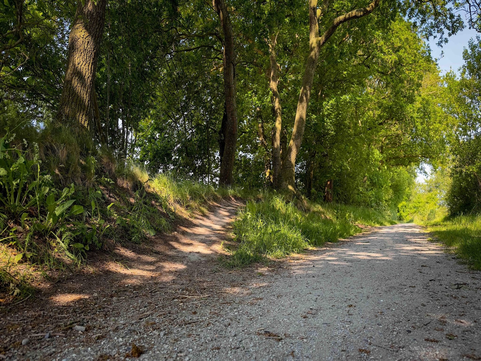 De omgeving van It Simmerhuske in Jistrum / Skûlenboarch
