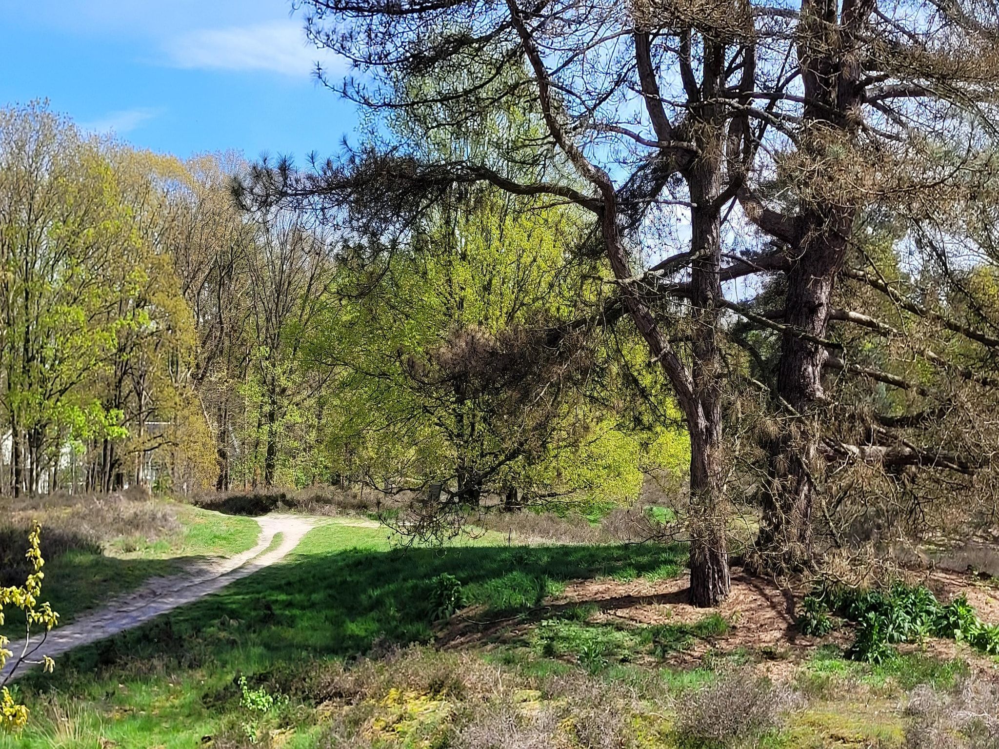 De omgeving van B&B Overloon 4 Personen in Overloon