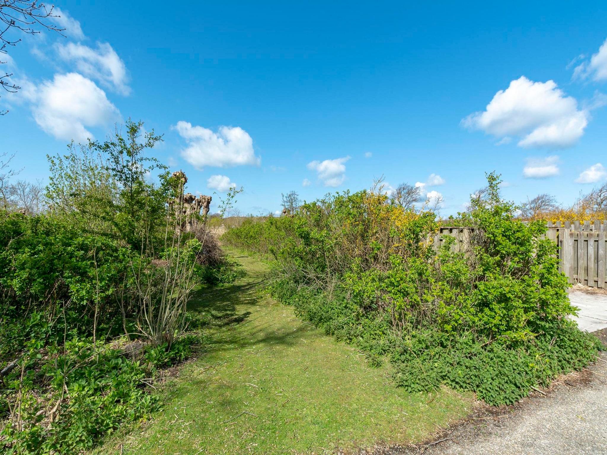 De tuin van Wildrijk 83 in Sint Maartenszee